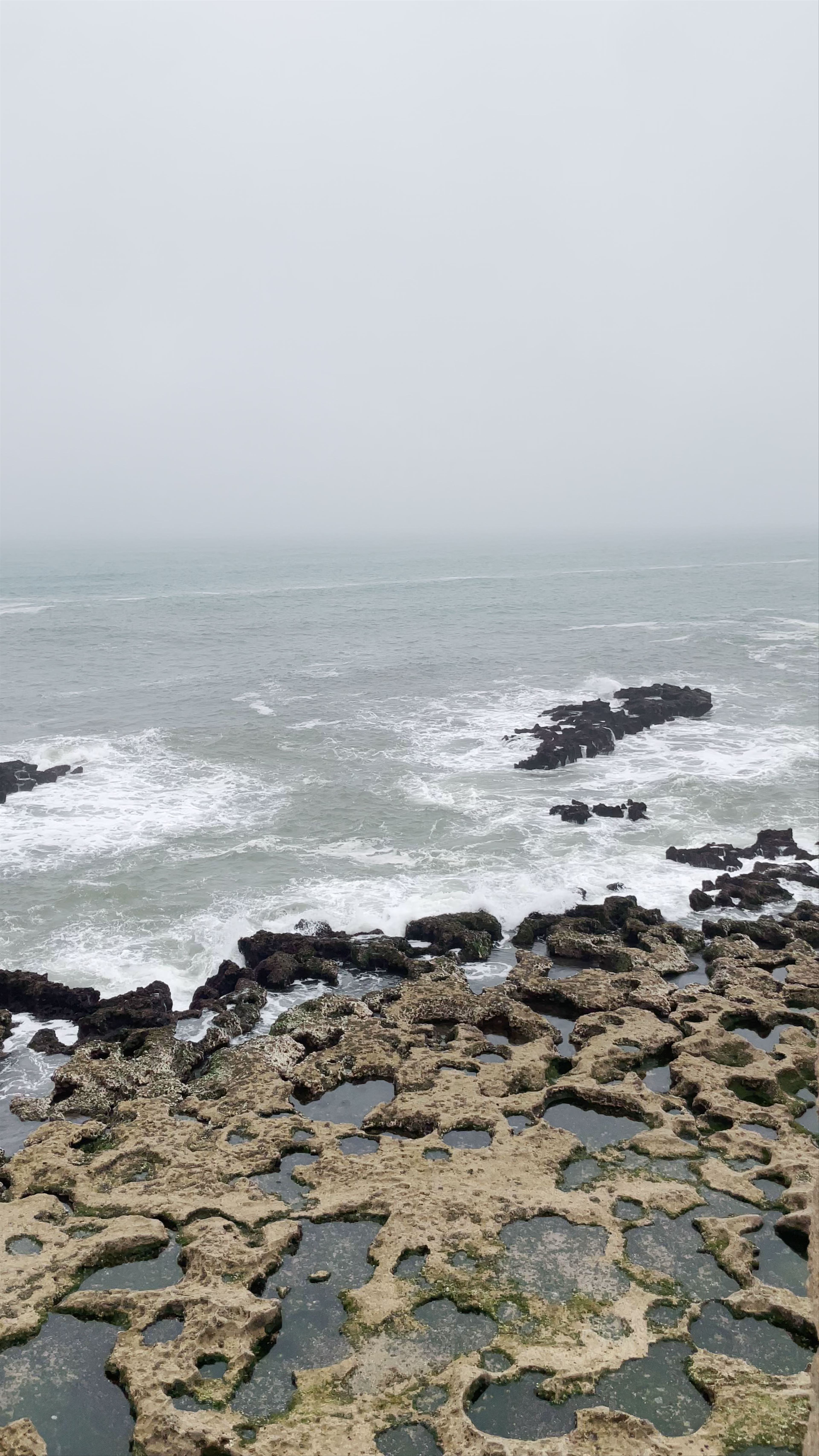 Misty Coastal Vibes at Rempart Mogador, Essaouira
