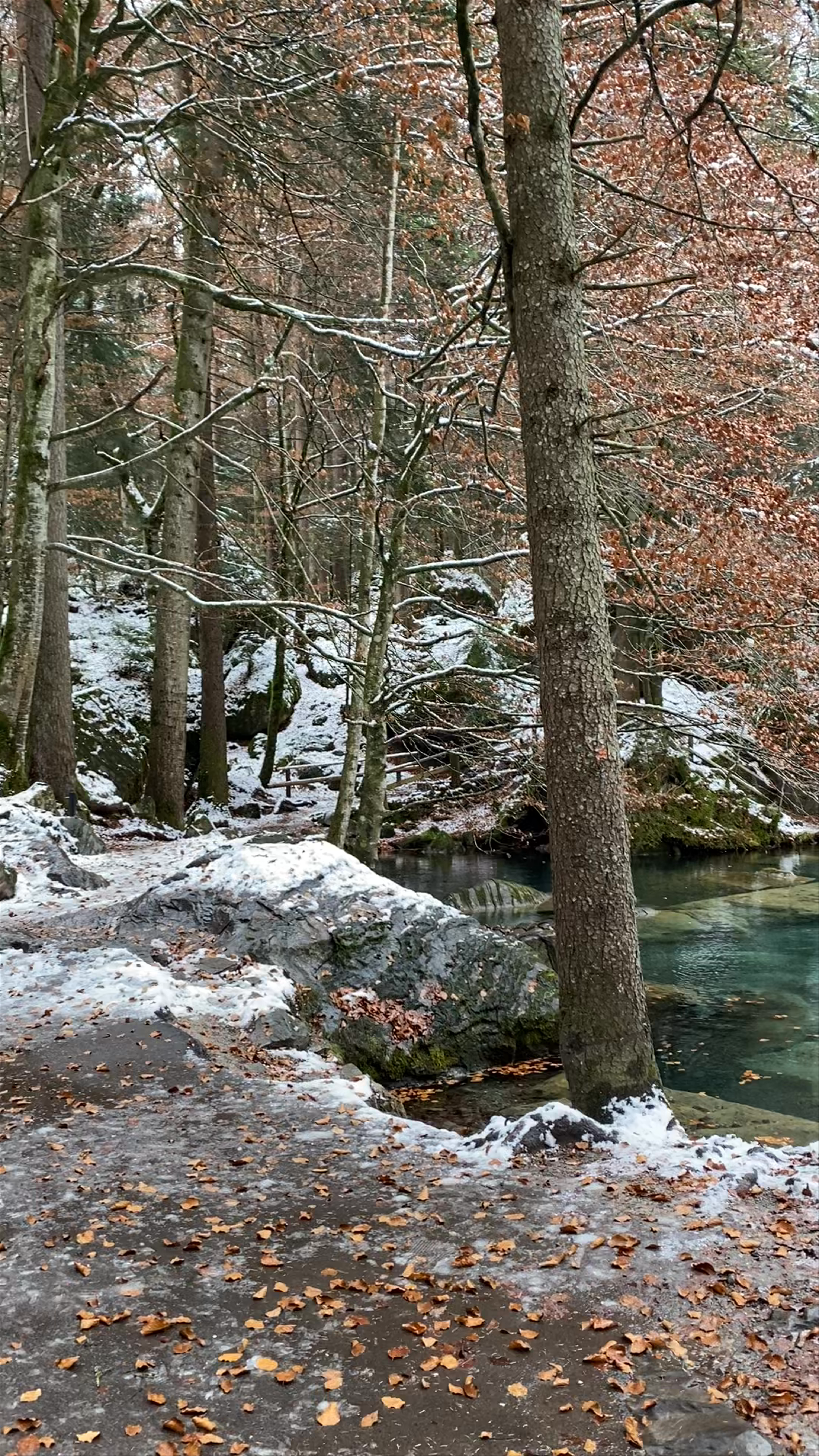 Winter Serenity at Blausee: Crystal Clear Waters Amid Snowy Forests