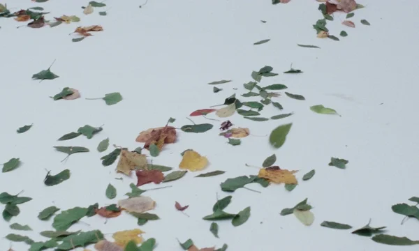 Generator - © Oddity Radio