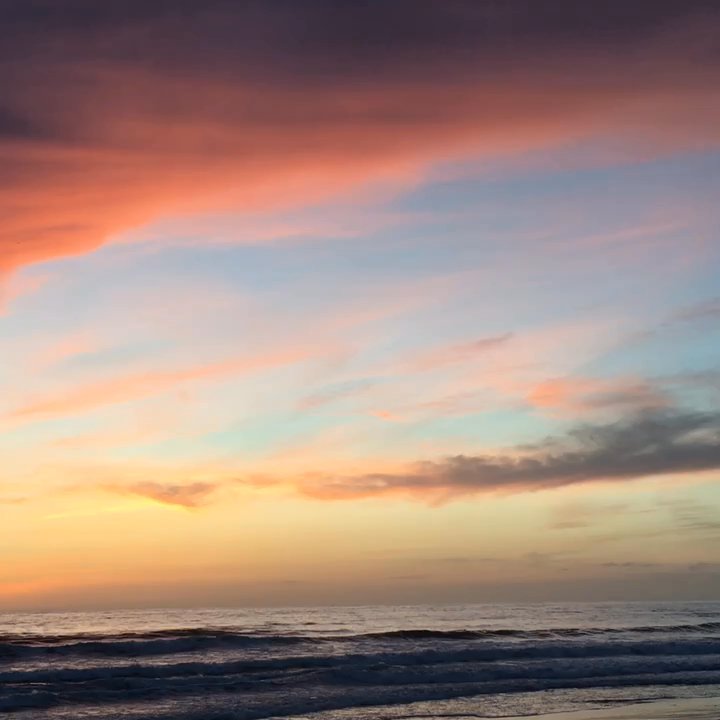 Nekter Juice Bar - Seaside Reef drinking my Health Nut Ty and evening sundown. Enjoy and Cheers    Rolldogg - Juice Bars & Smoothies Near Me - Encinitas, California