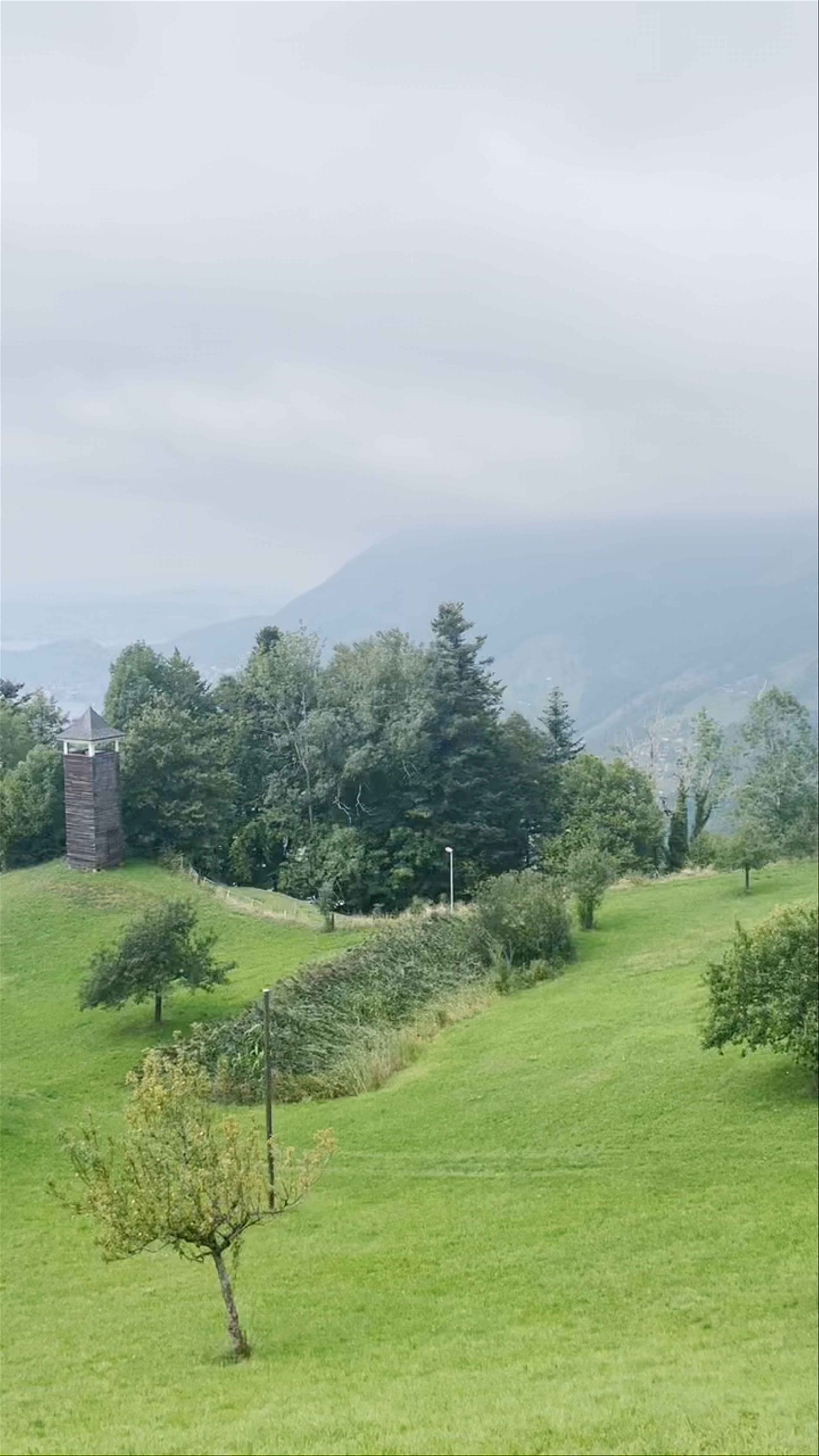 Vitznau Hinterbergen