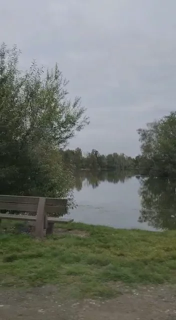 Kapbusch