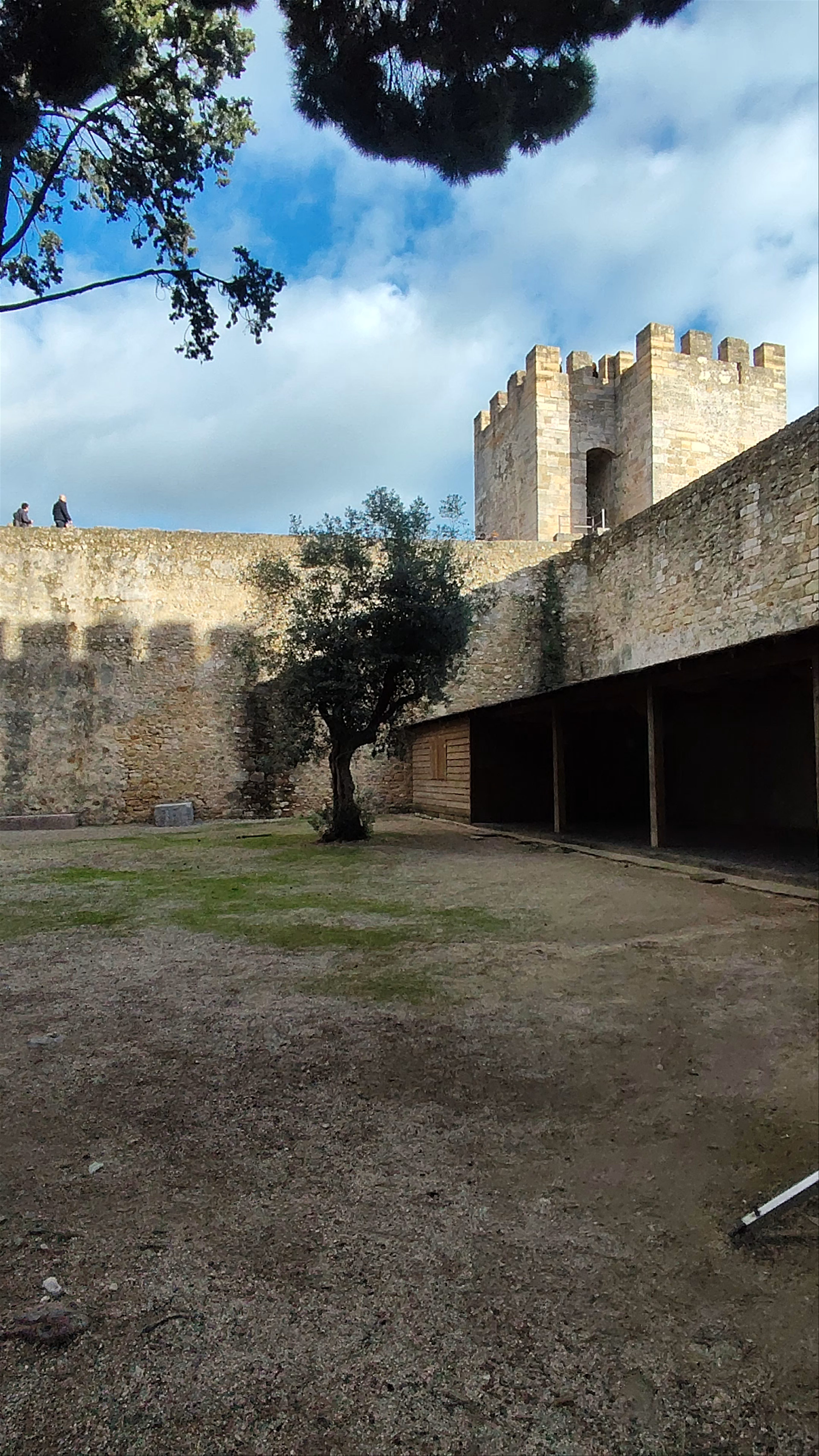 Castelo de São Jorge: Timeless Fortress of Lisbon