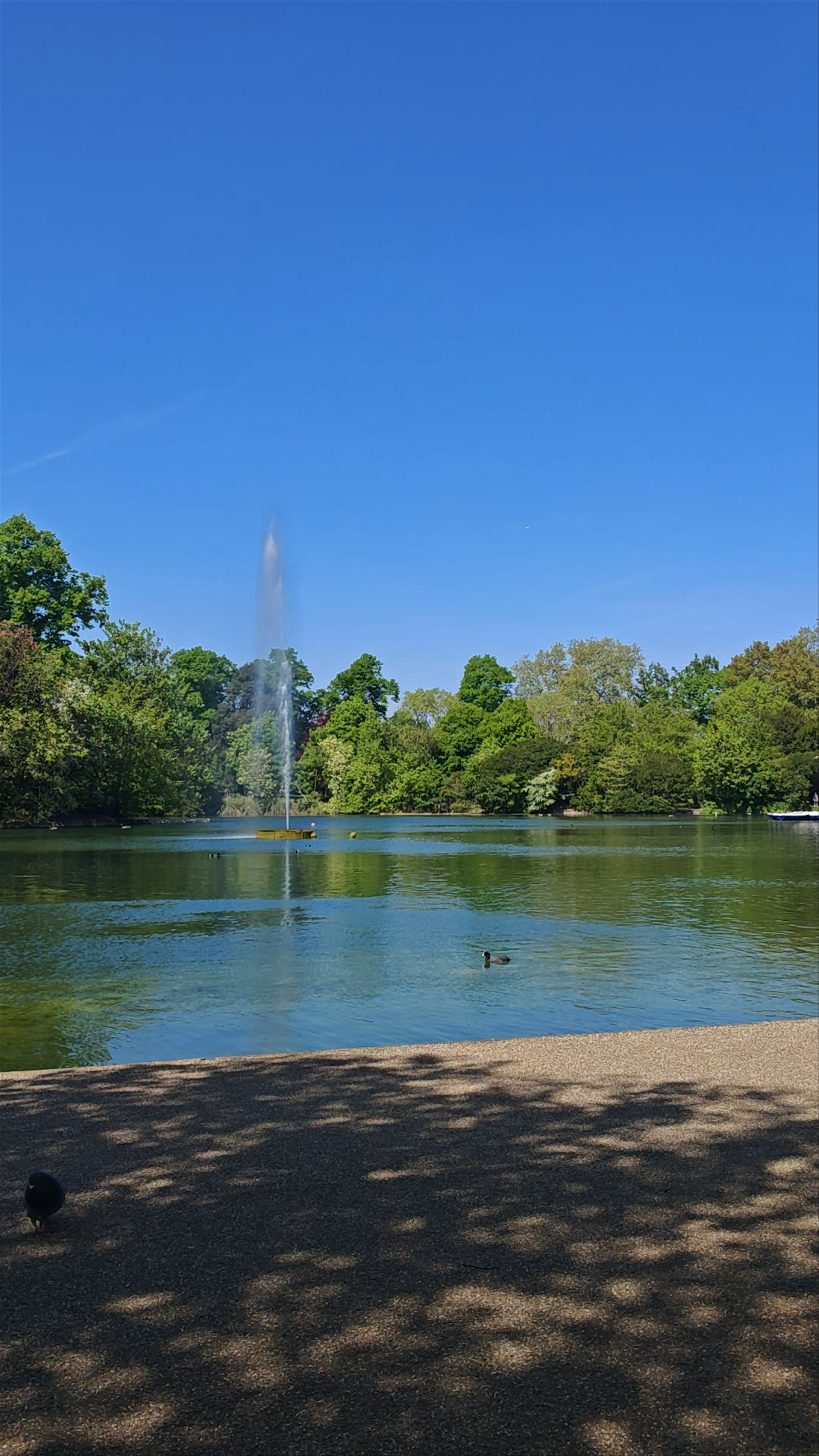 Victoria Park