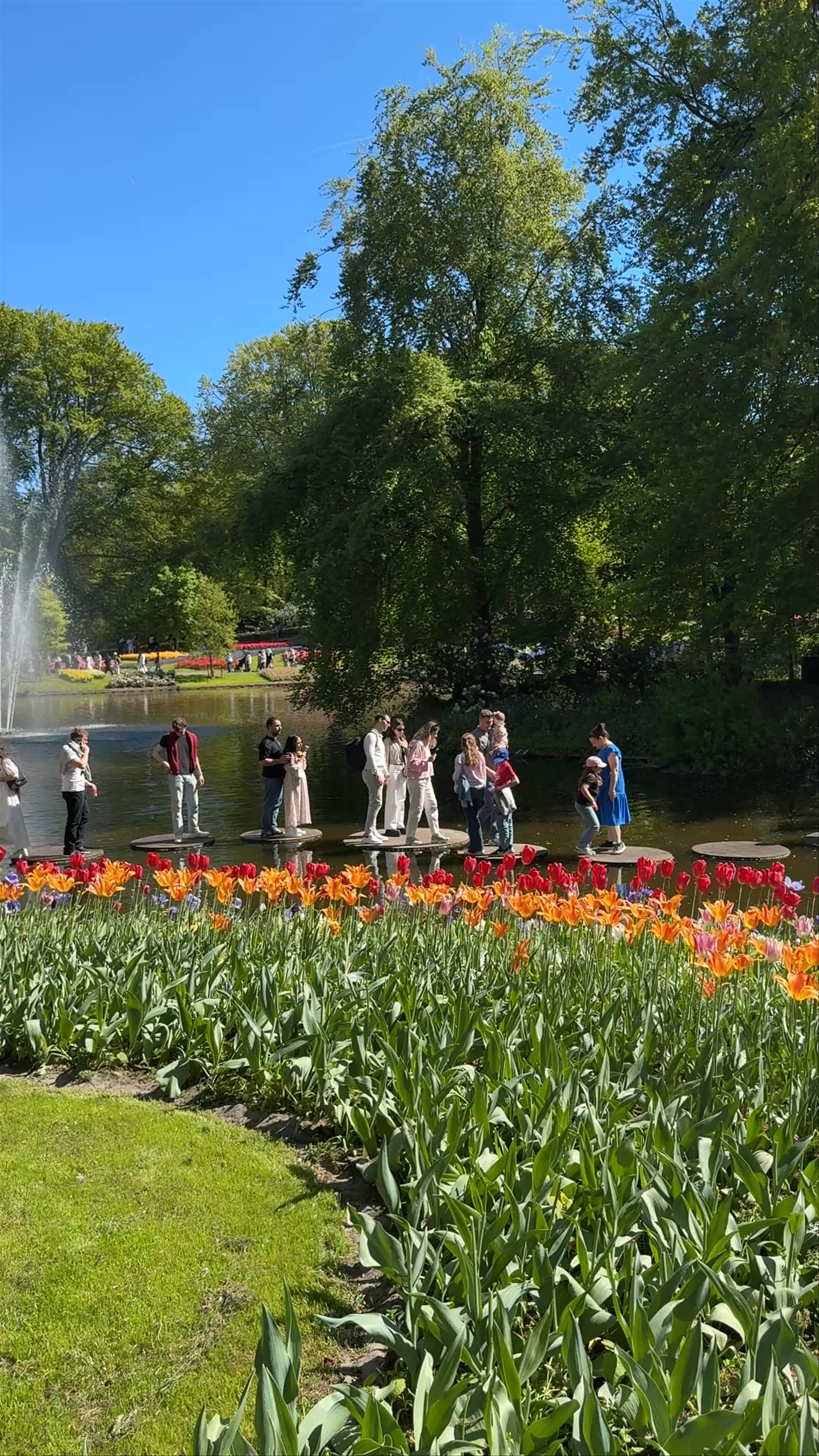 Keukenhof
