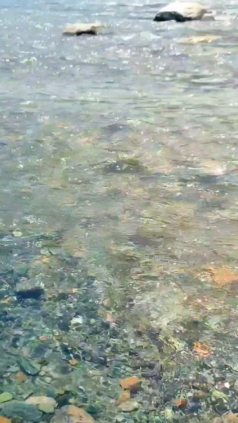 Photo of Starting point of Pa