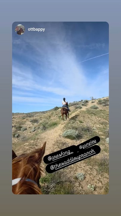 Saddle Up Wine Tours - Horseback Riding Near Me - Aguanga, California