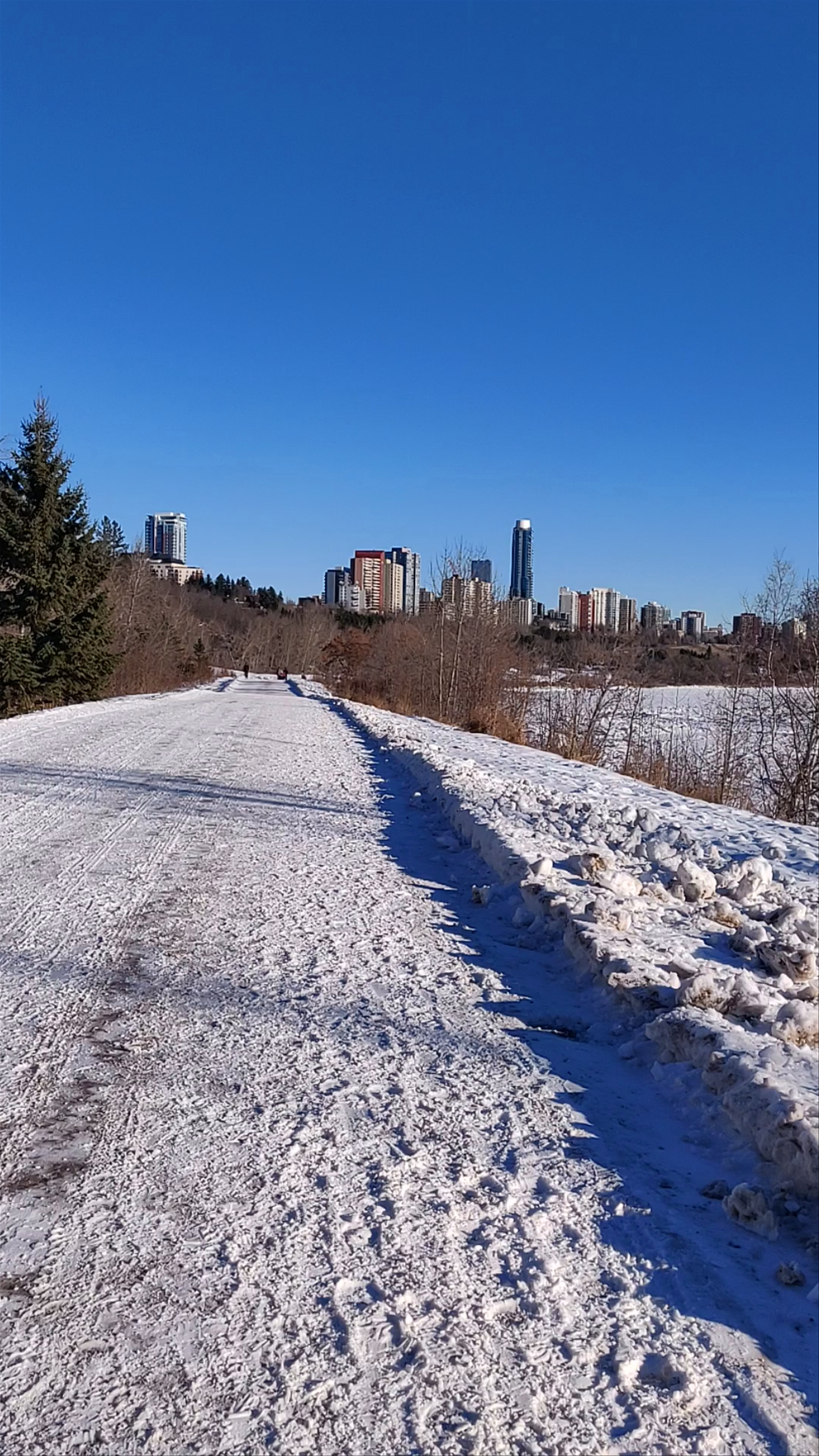 Government House Park