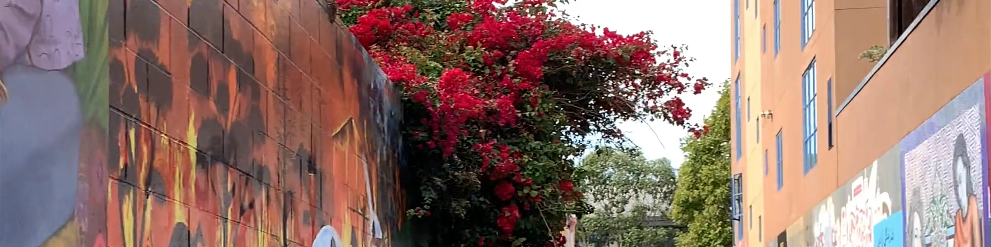 Mural Arts