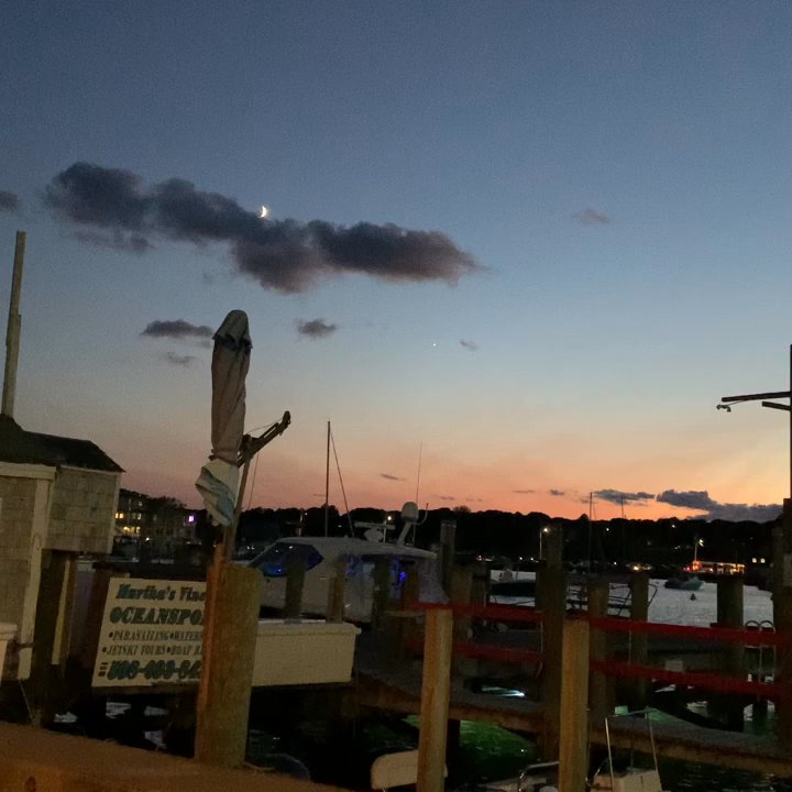 Fishbones Bar & Grille - Outdoor seating has a beautiful sunset and great vibe! - Seafood Near Me - Oak Bluffs, Massachusetts