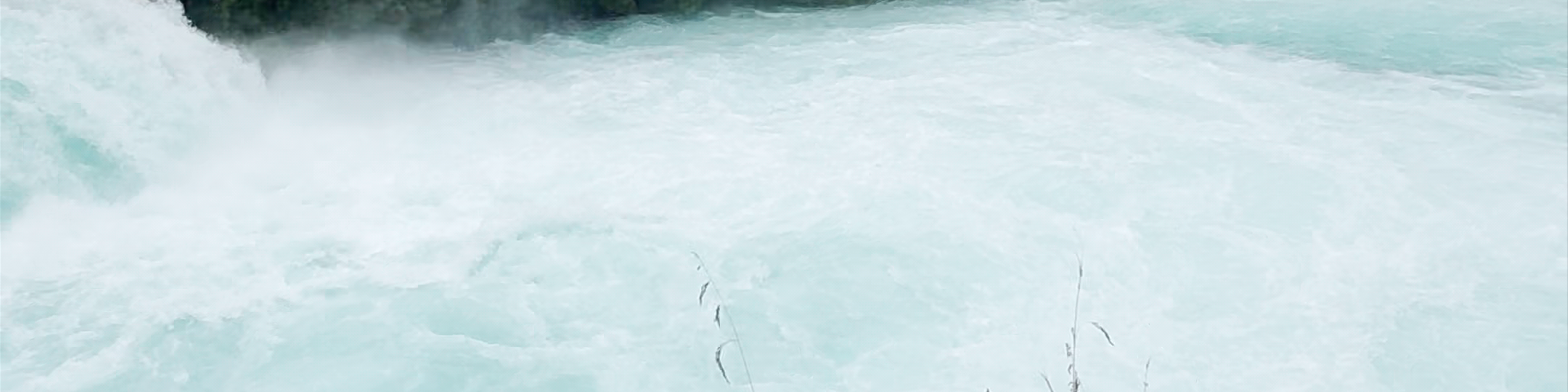 Taupo