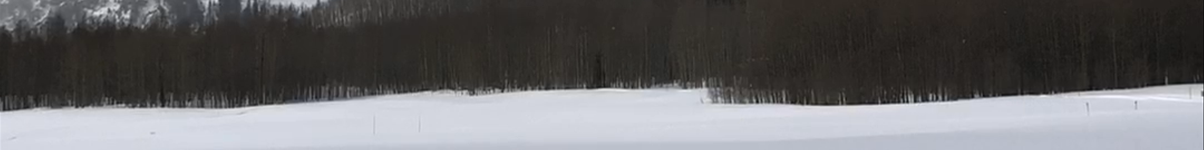 Tours & experiences in Aspen