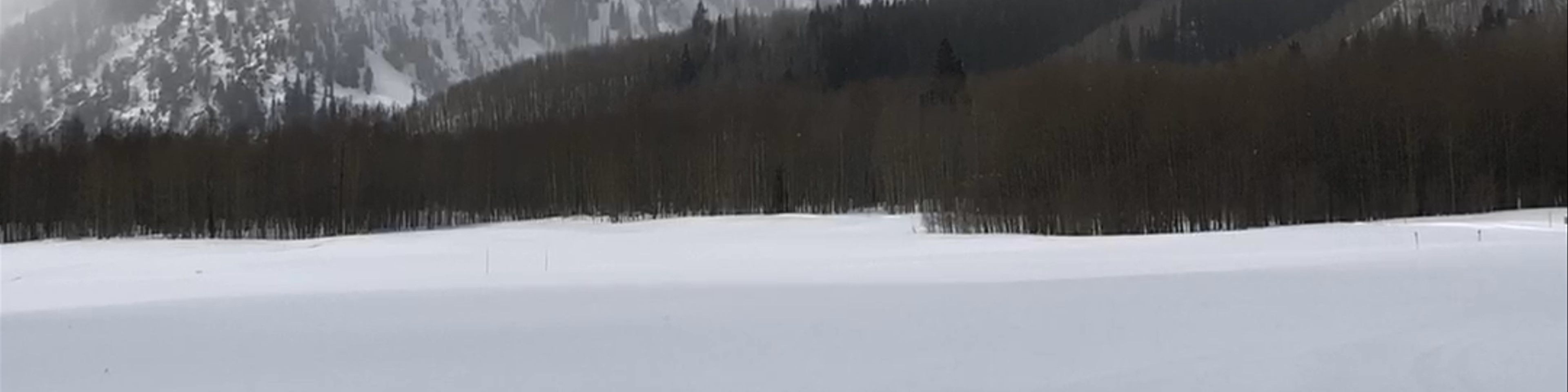 Aspen