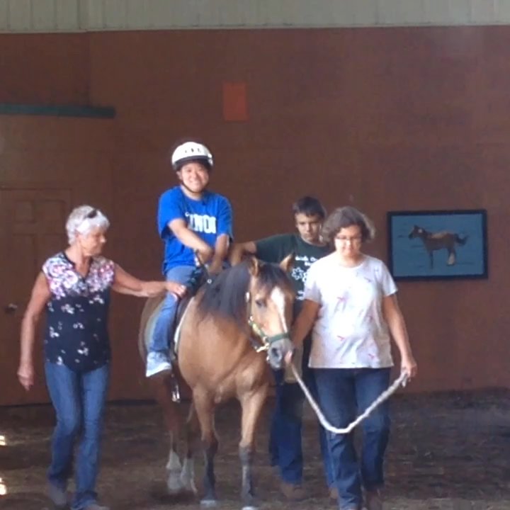Walk On - Horseback Riding Near Me - Barrington, Illinois