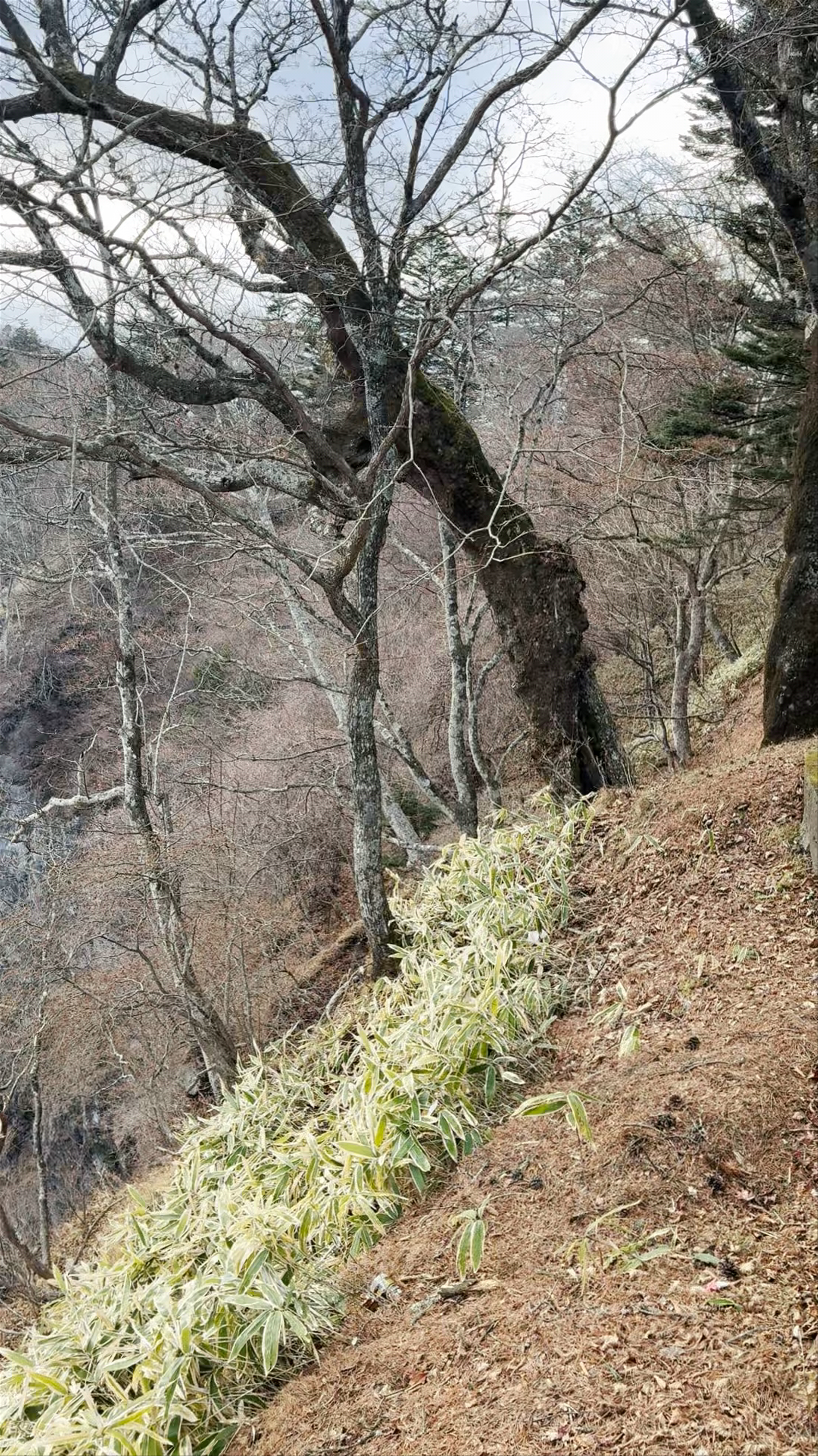 Kegon Falls: Serene Winter Nature Escape in Nikko, Japan