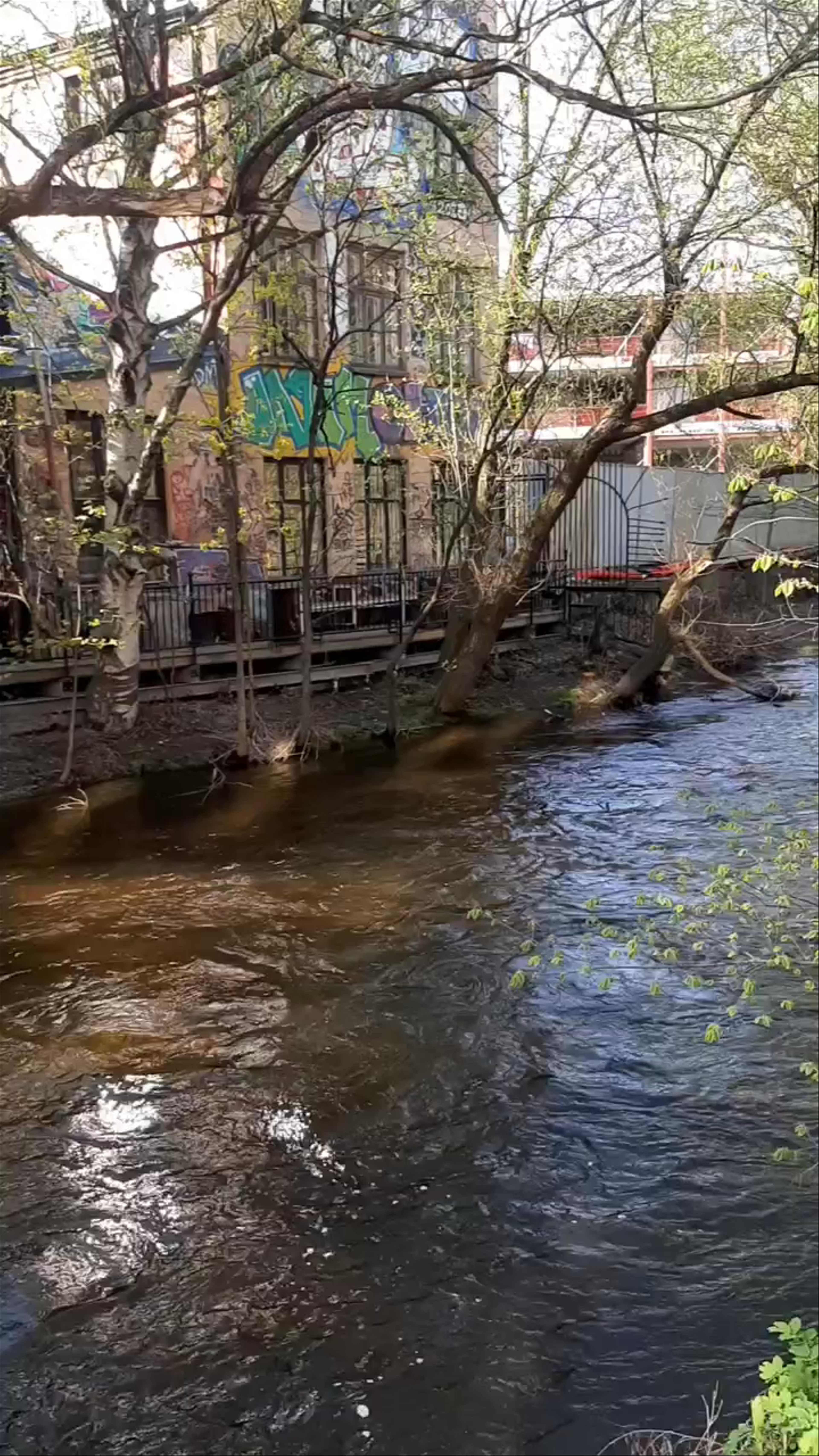 Søndagsmarkedet på Blå: A Vibrant Riverside Market in Oslo