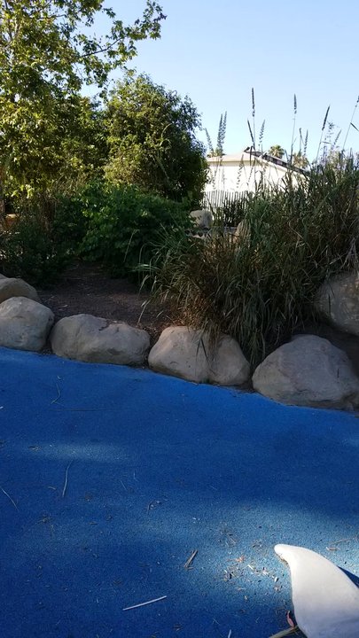 Tomol Interpretive Play Area - Park view - Parks Near Me - Carpinteria, California