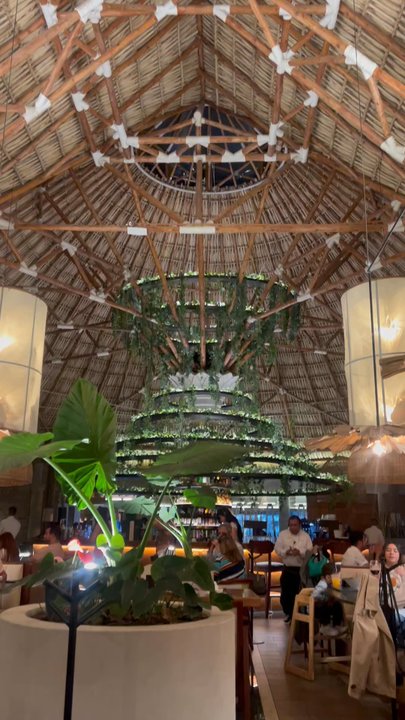 Love, Carma Adventures - Cielito Grill Restaurant - Travel Agents Near Me