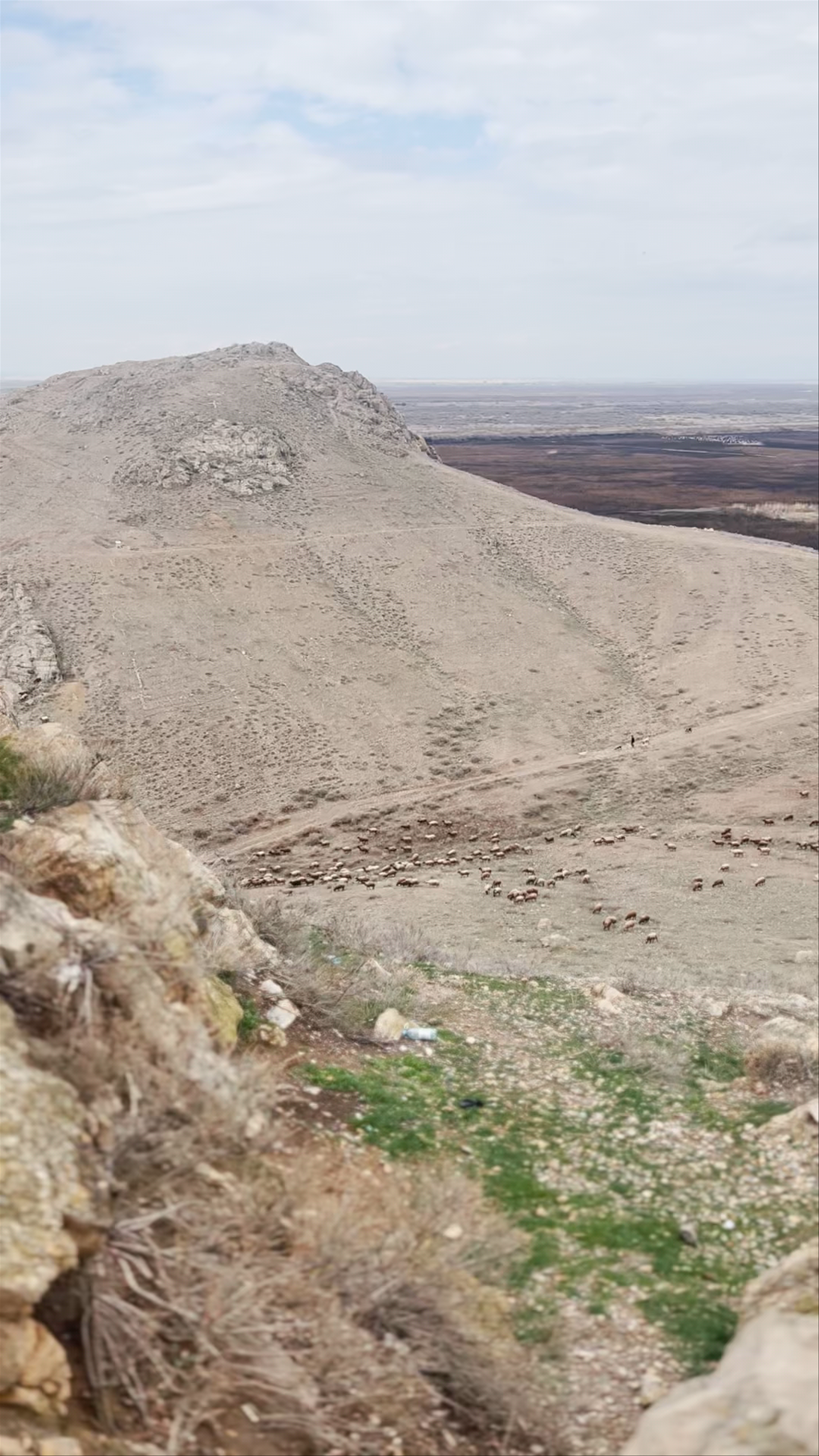 Khor Virap Monastery