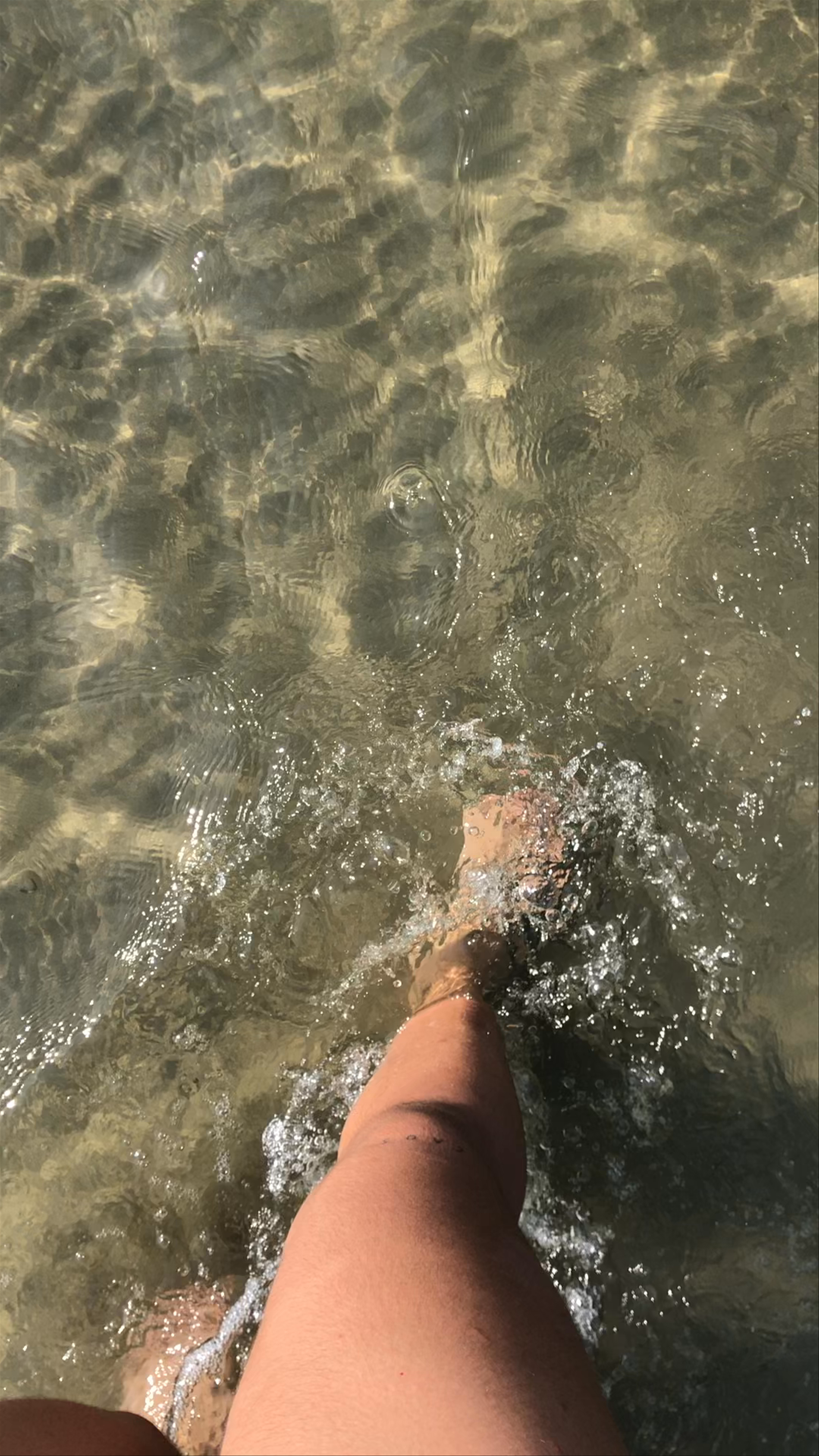 The Lonely Tree in the Sea