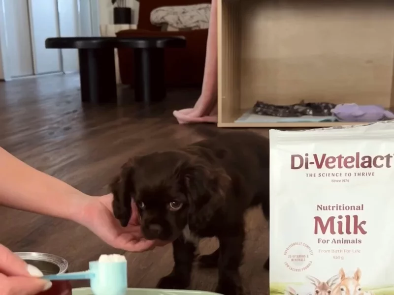 Di-Vetelact Puppy Milk