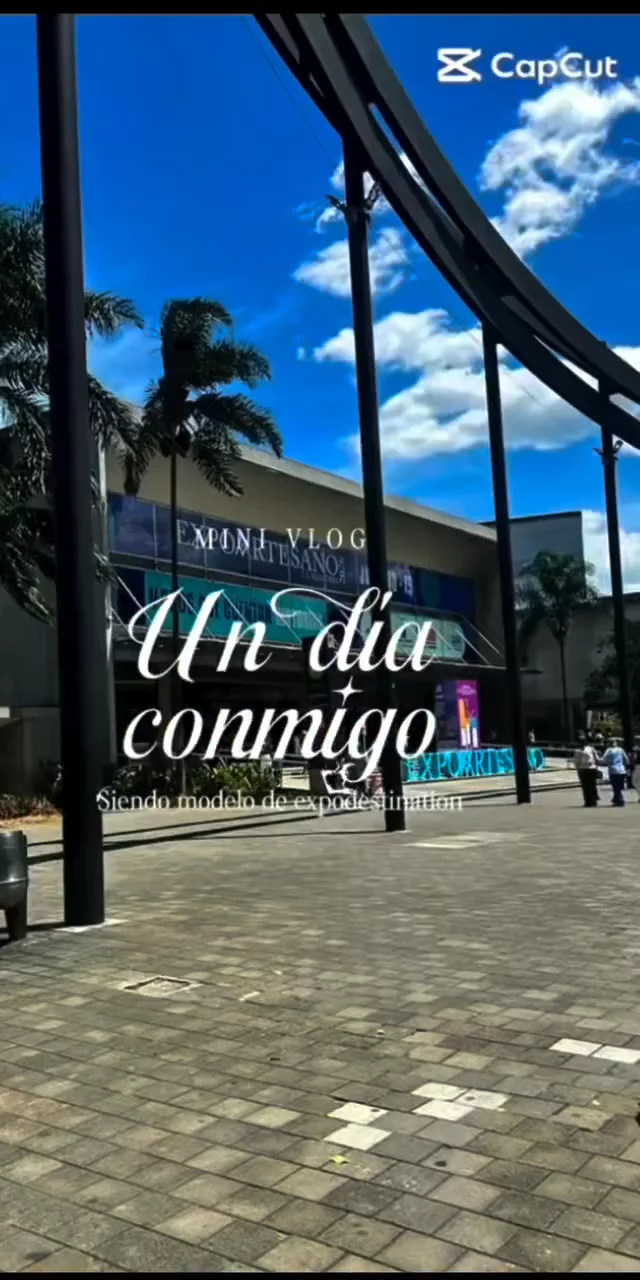 Contenido del creador