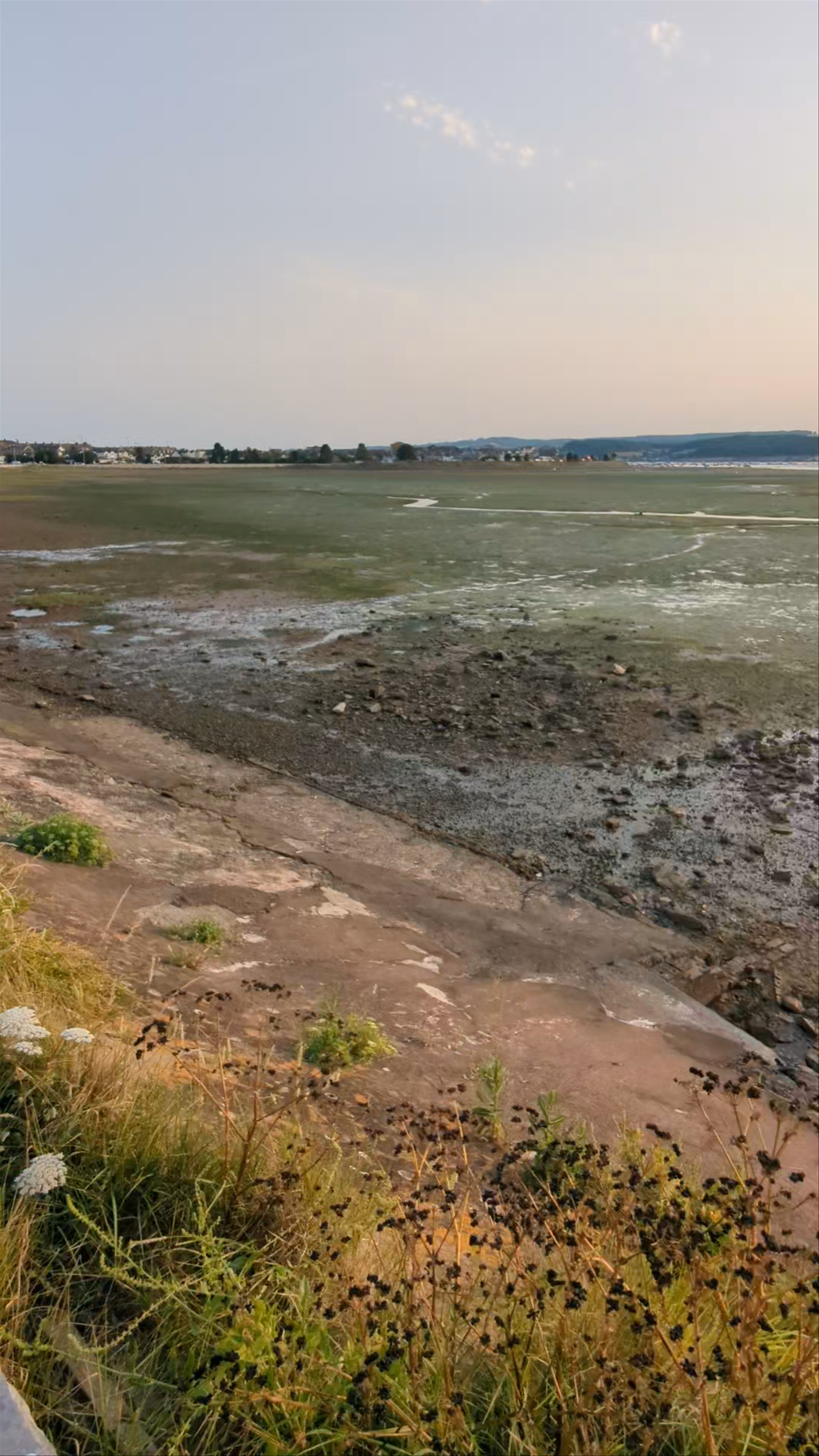 Exe Estuary Trail