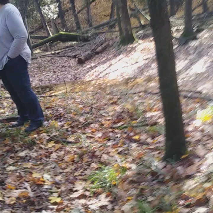 Barothy Lodge - We got lost in the woods. We were on the Red Trail and we lost track of the red tags on the trees. We had to call for help - Venues & Event Spaces Near Me - Walhalla, Michigan
