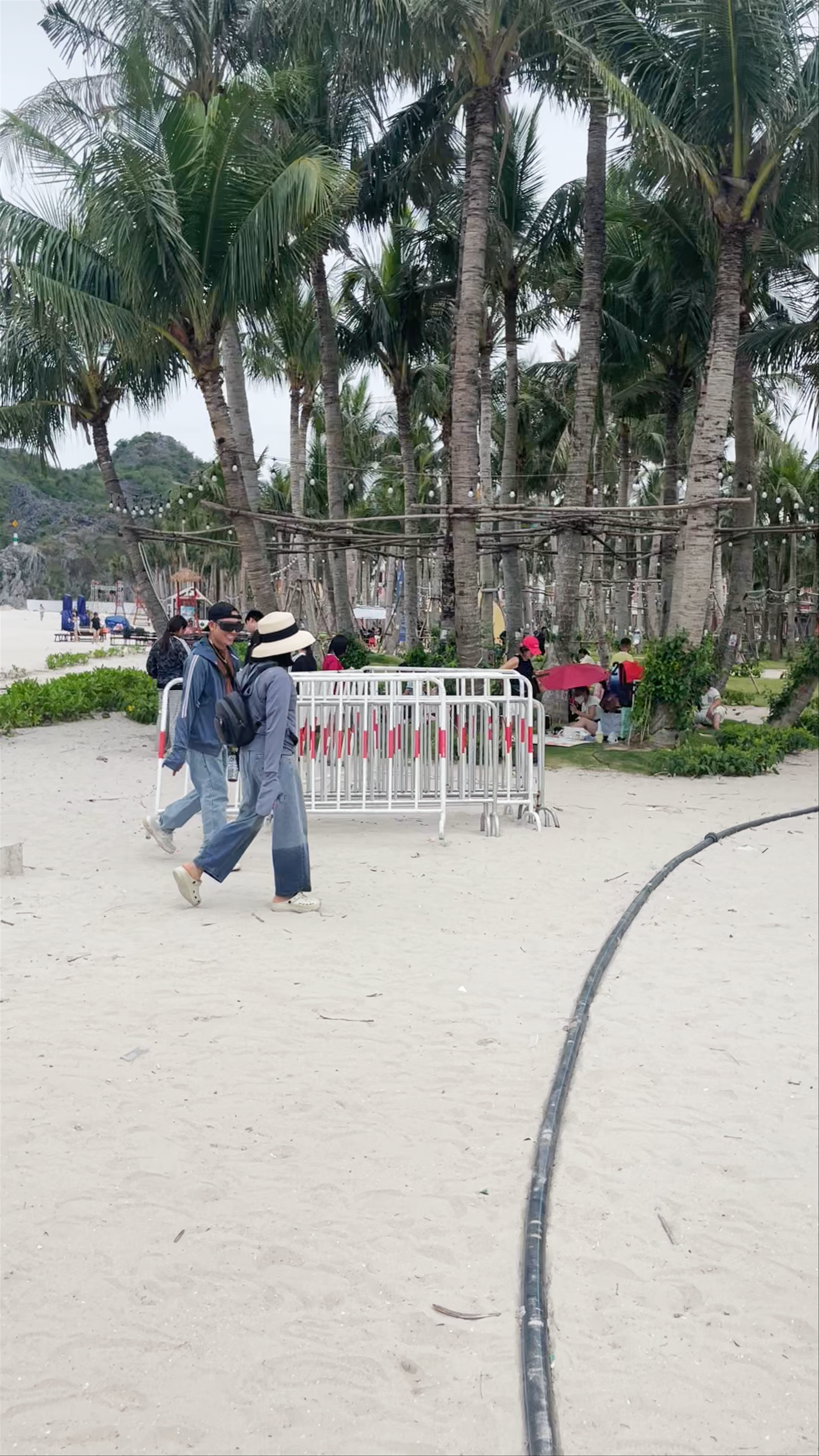 Serene Palm-Lined Oasis at Cat Ba Sea Garden Amphitheater, Hai Phong