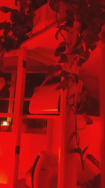 Bare Fruit Body Lab - This is your relaxation time, slim down and vibe - Weight Loss Centers Near Me - Alexandria, Virginia