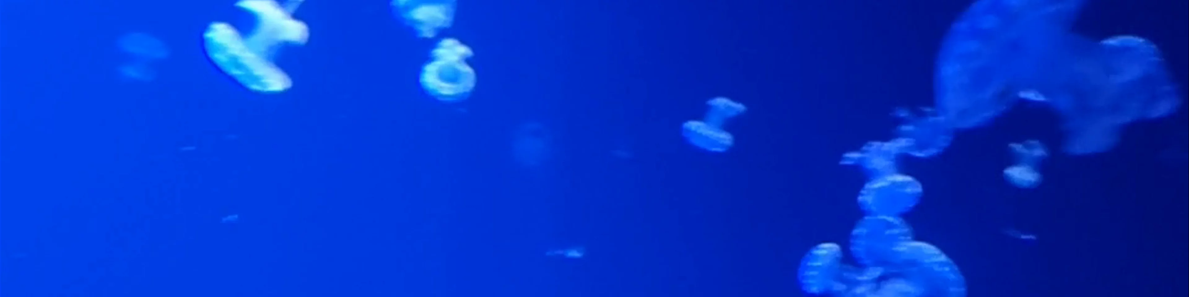 Vancouver Aquarium