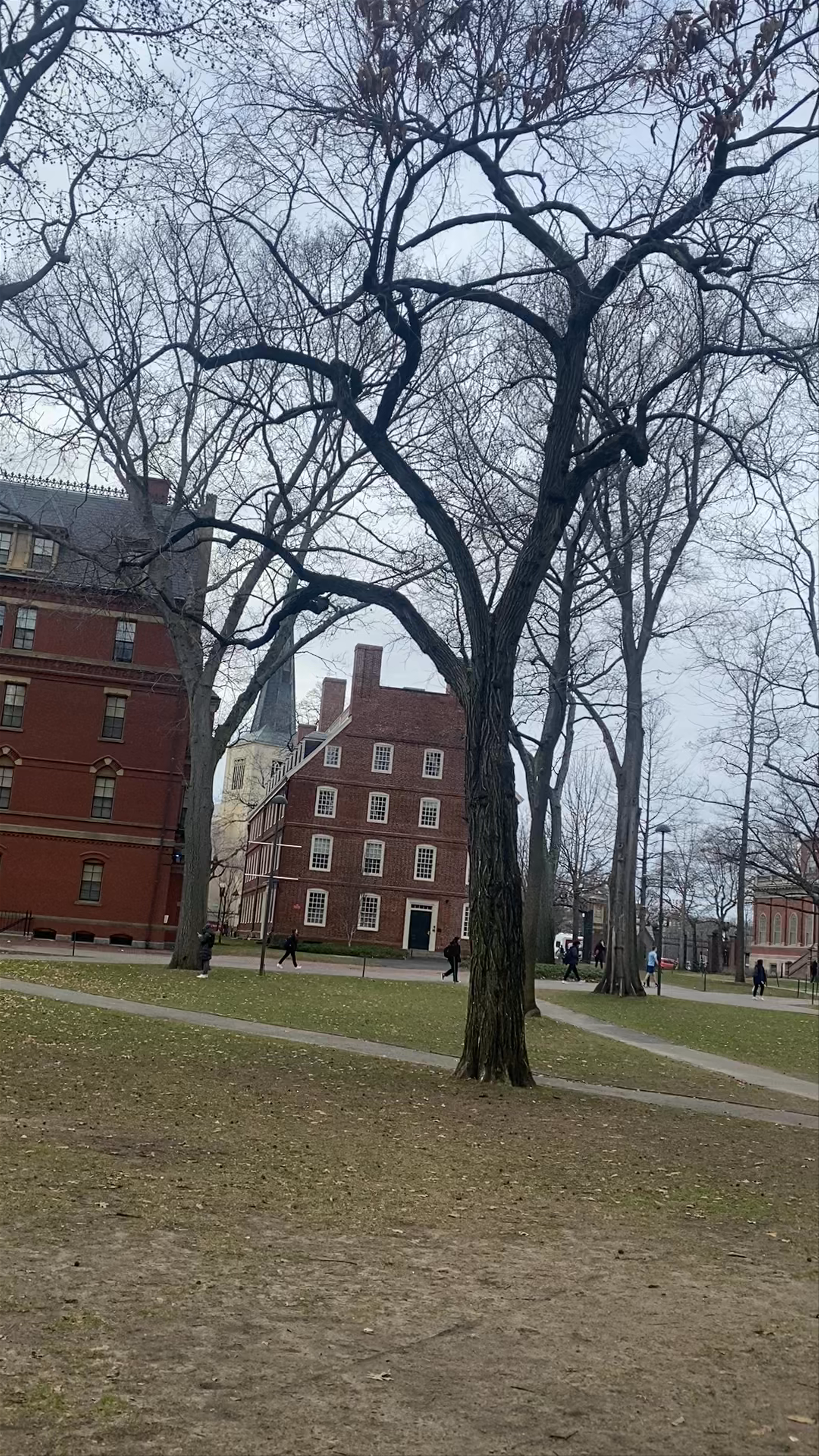 John Harvard Statue and Harvard Yard Walk, Cambridge, Massachusetts
