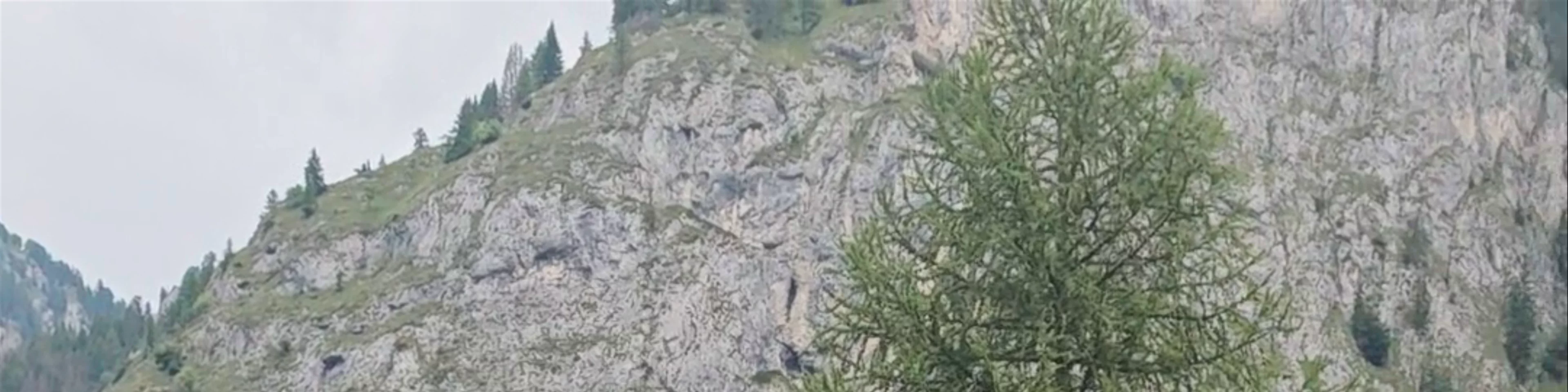 Val Pettorina