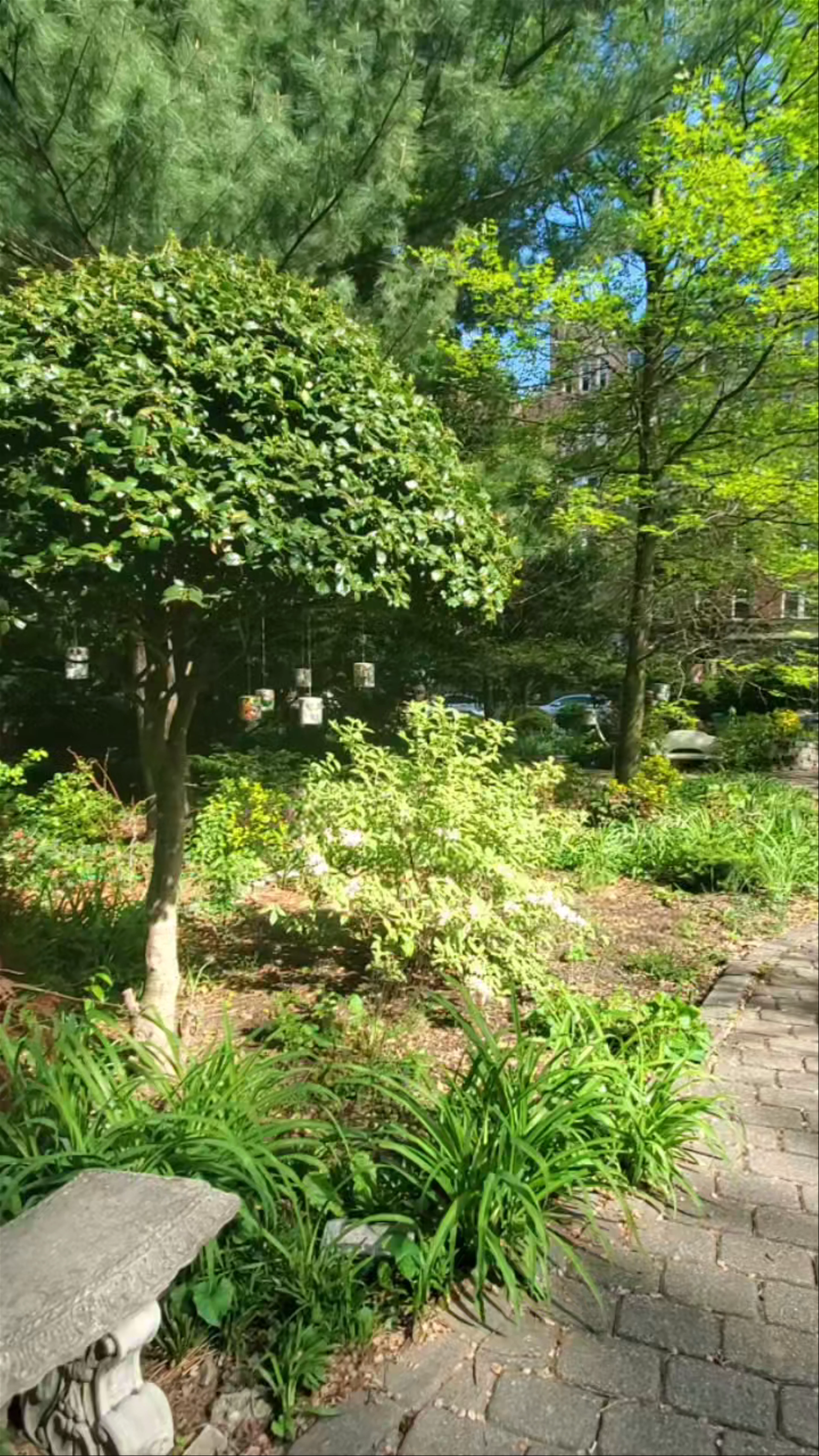 Bruce's Garden