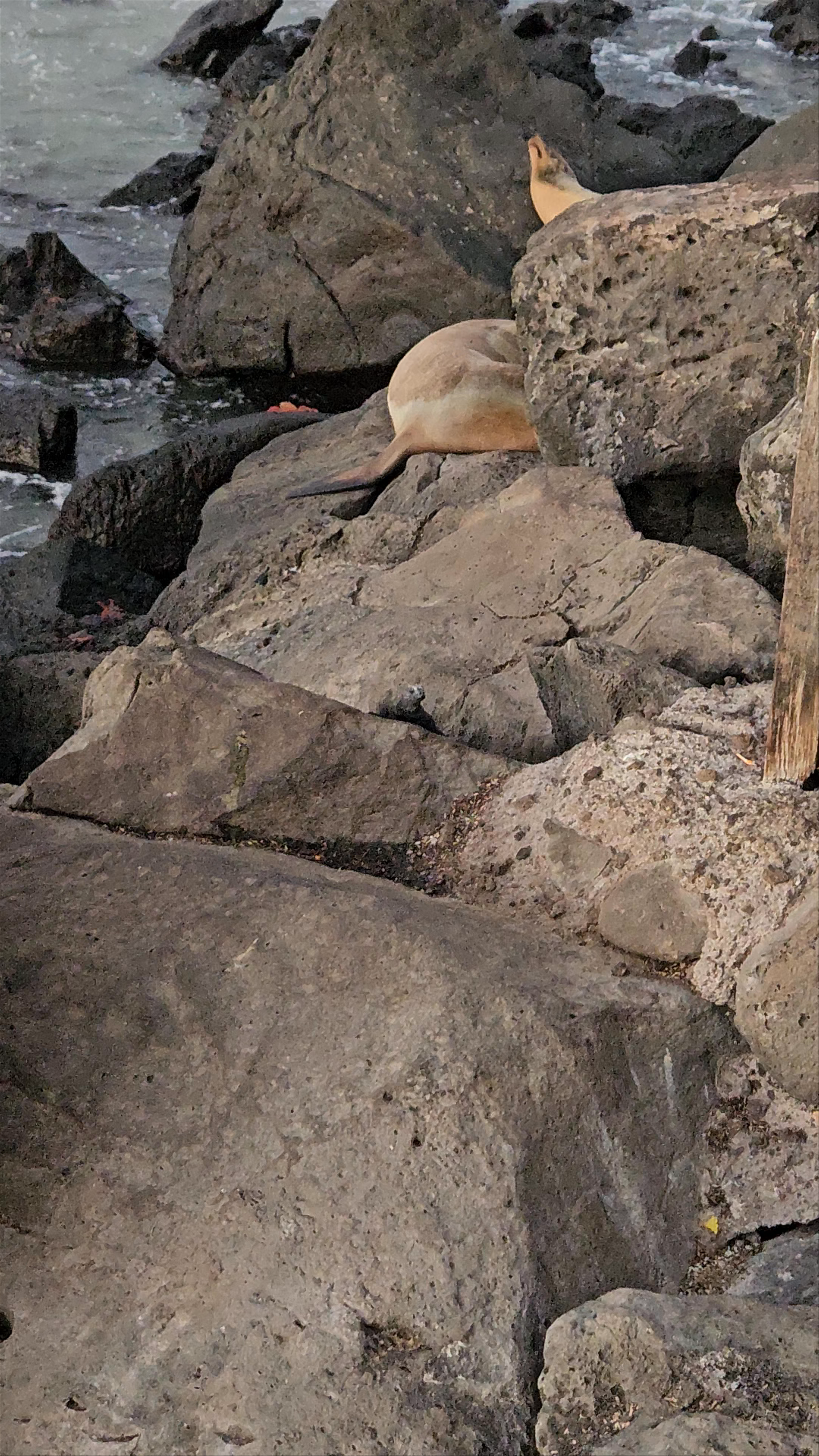 Malecón San Cristobal