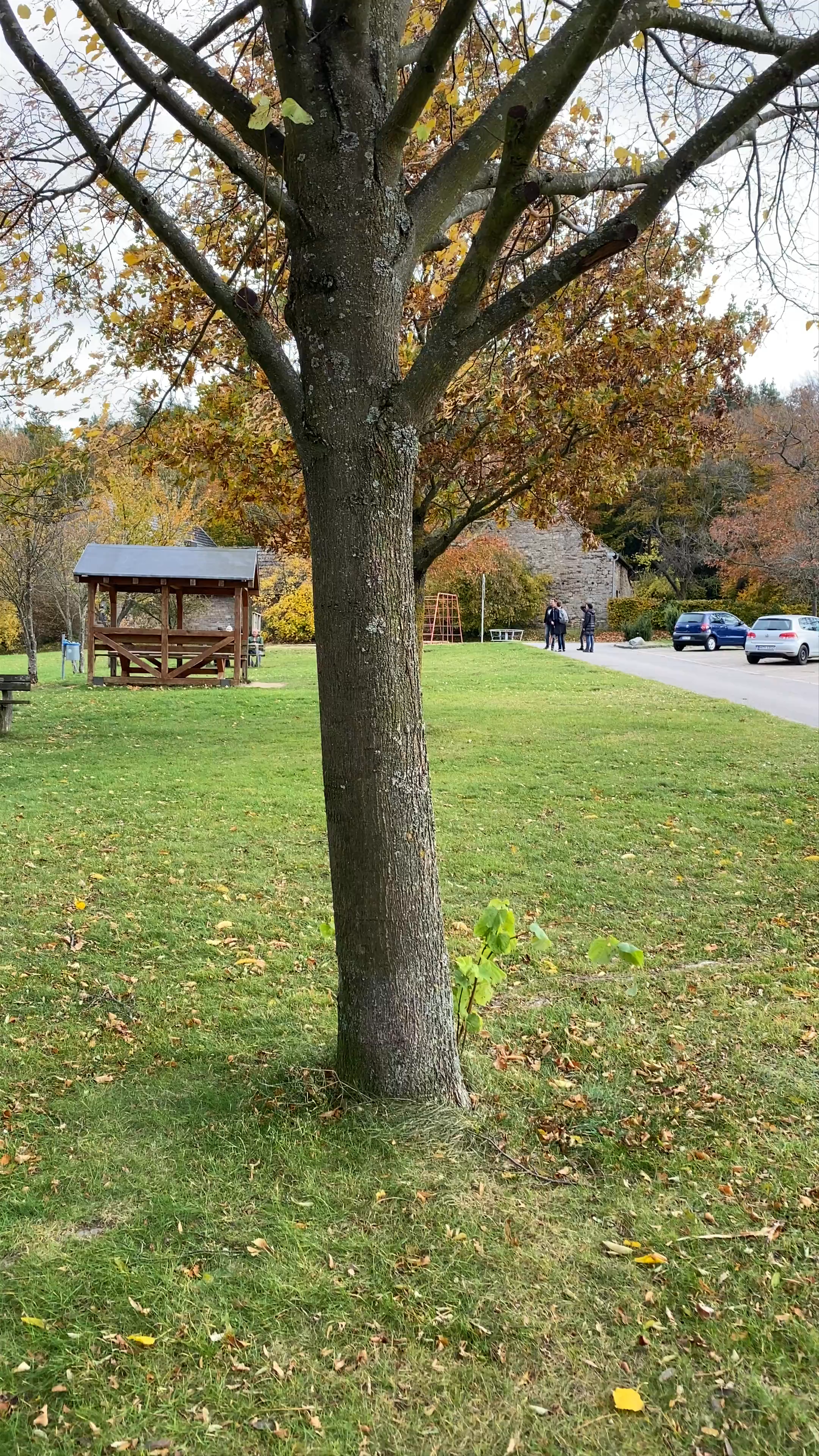 Aussichtspunkt Burgberg