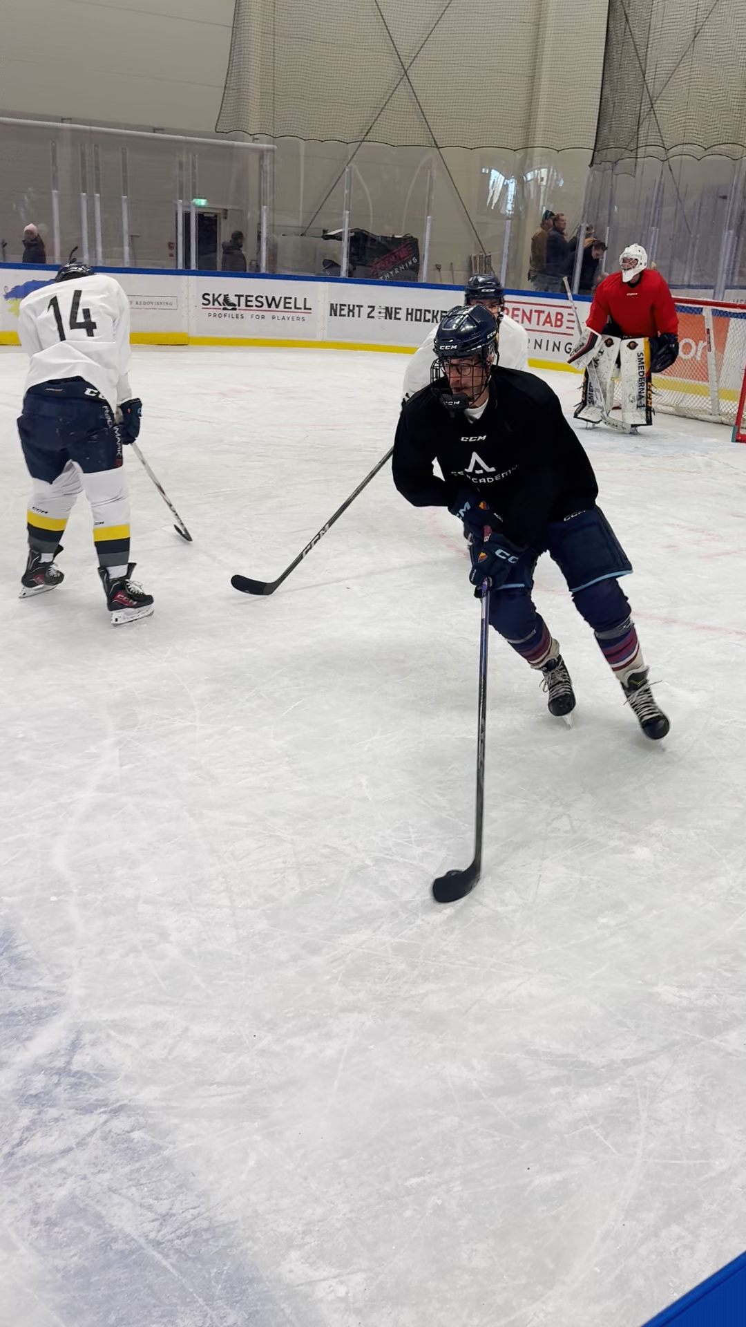 Justin Massei: Offensive Highlights and Moves