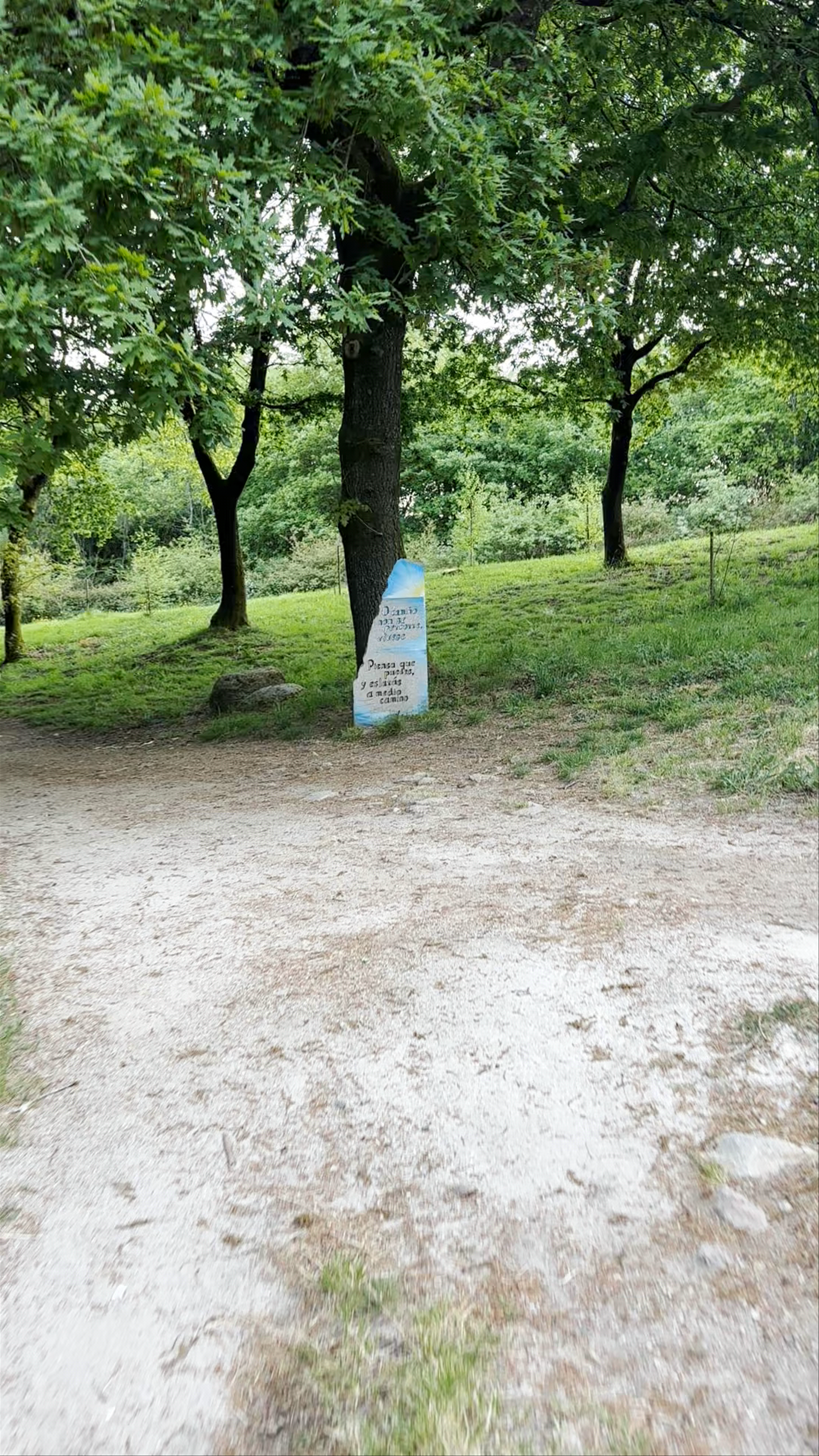 Carballeira con Esculturas de Madeira