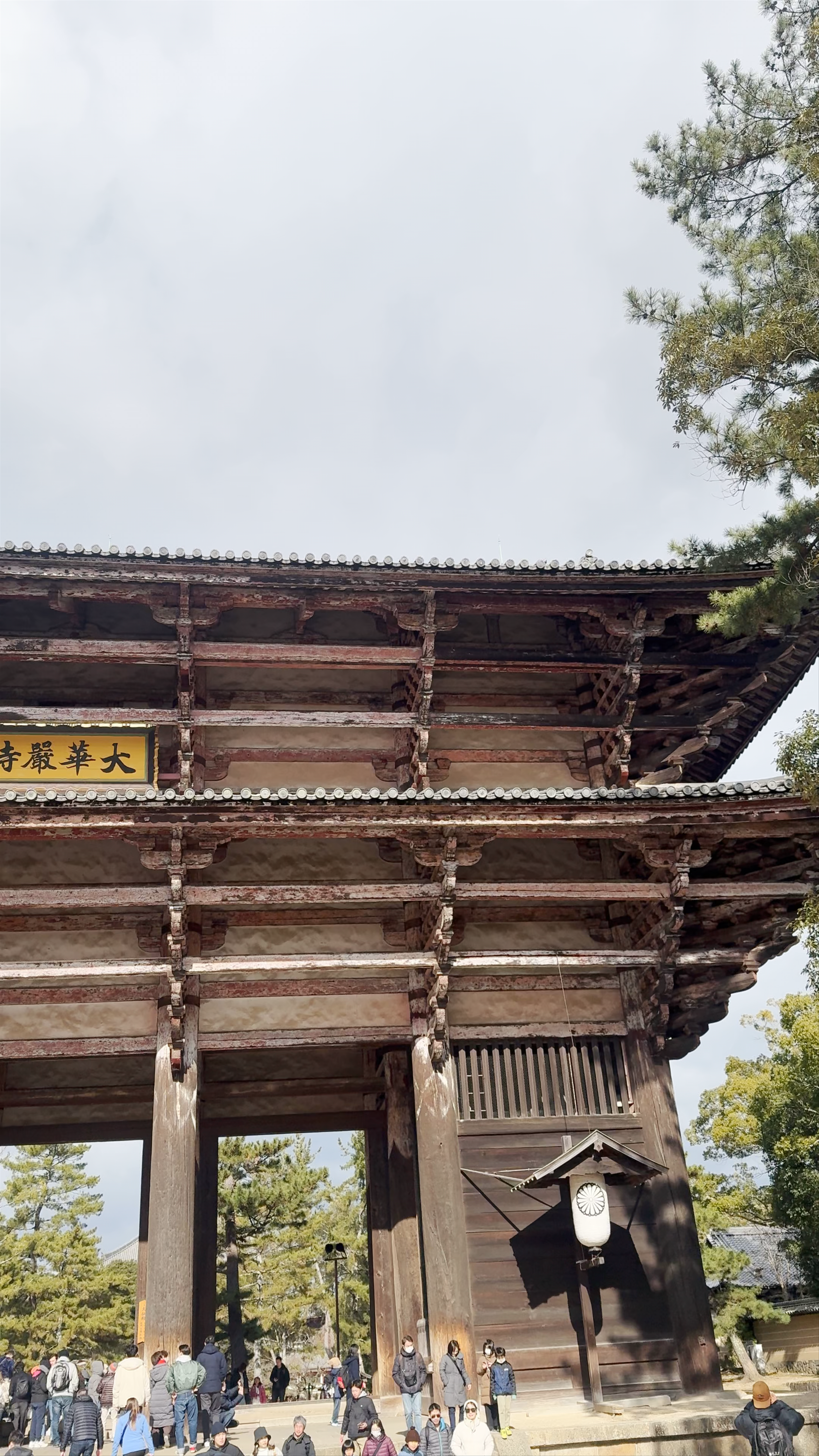 Todai-ji Chumon Central Gate: Majestic Heritage in Nara, Japan