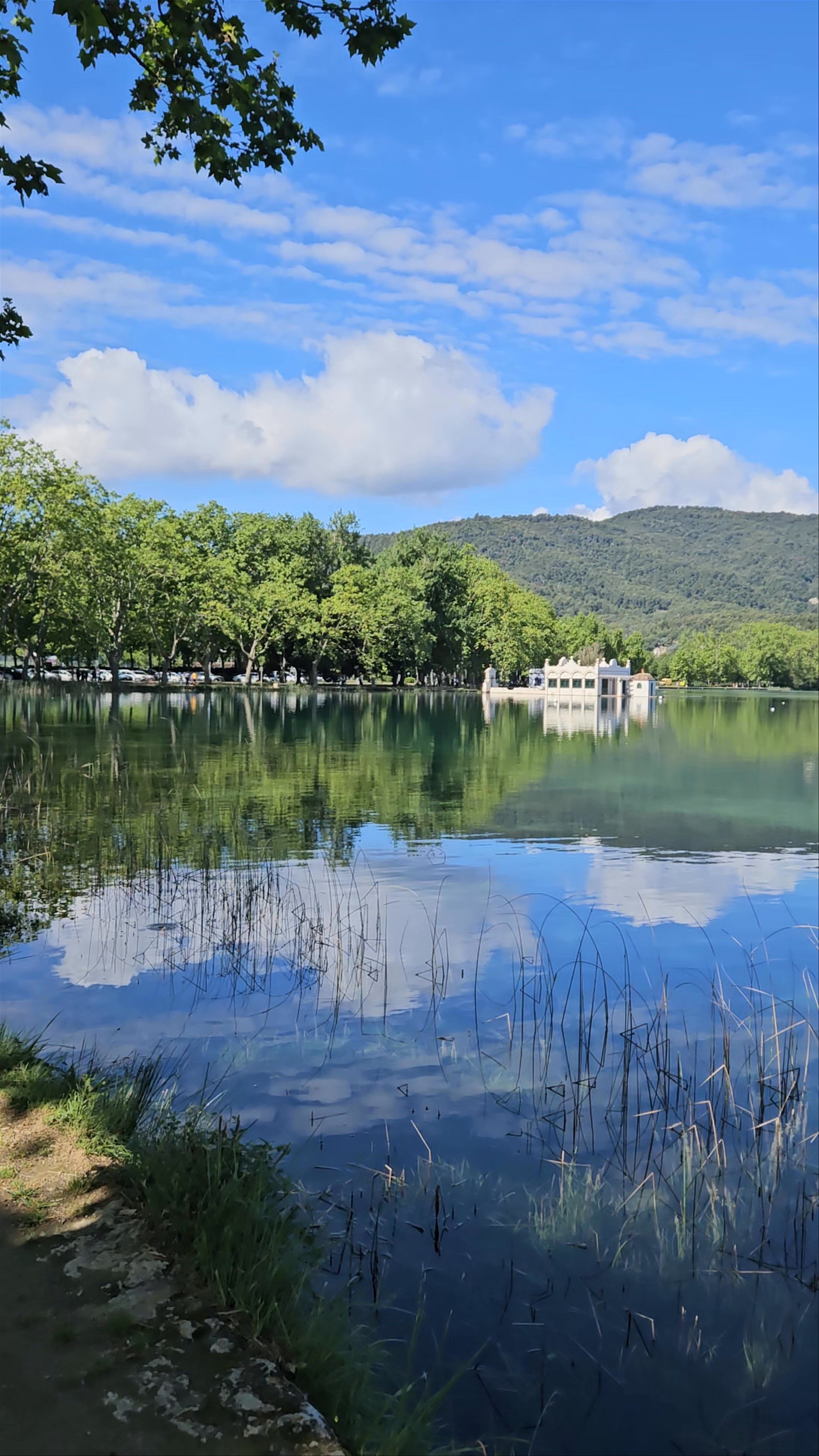 Pesquera Llinàs-Padró