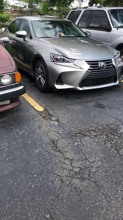 Superior Exotics Team - I like coming here because of the convenience and the knowledge that their experts always have. - Auto Repair Near Me - Davie, Florida