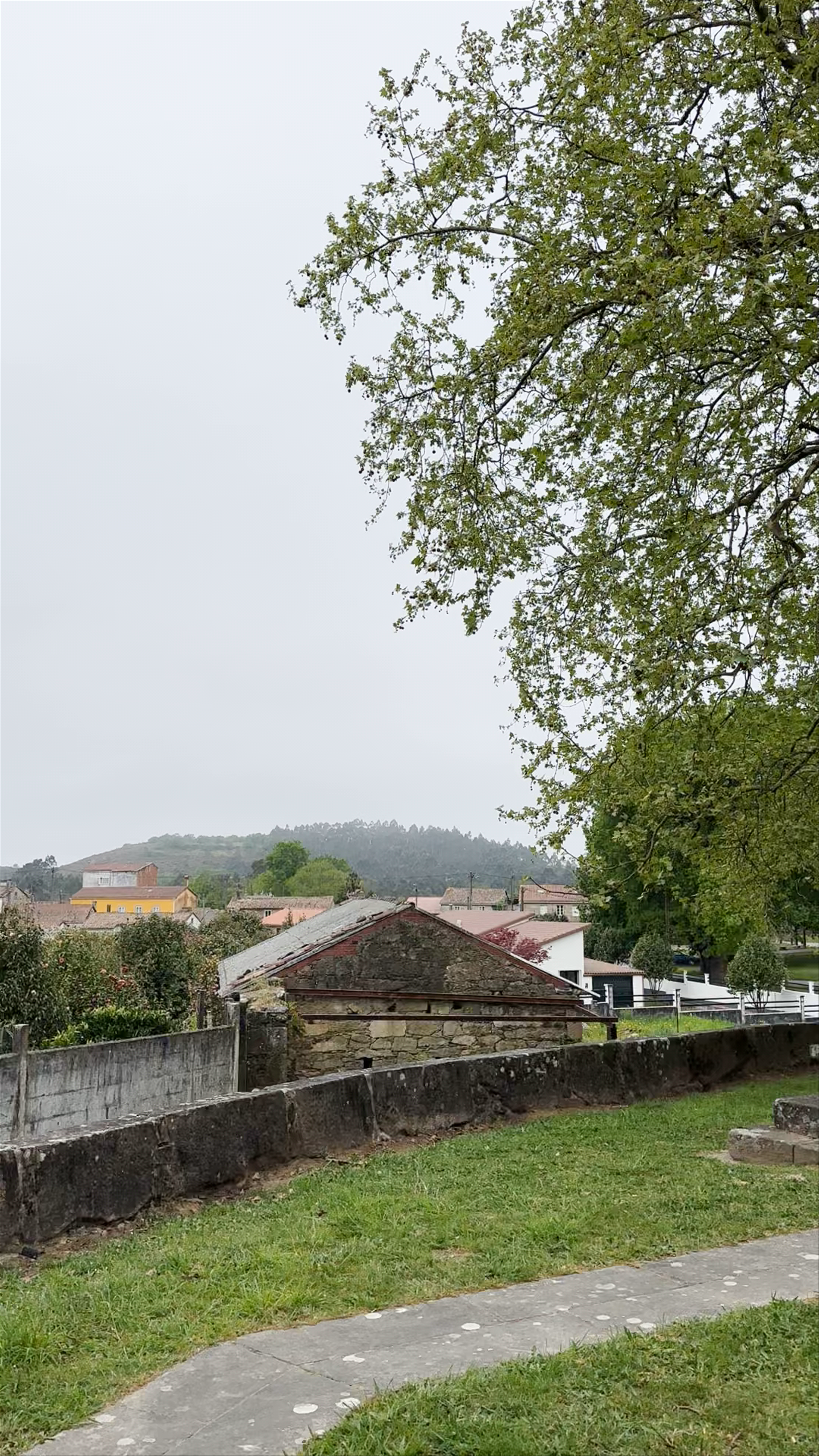 Capilla de San Martiño