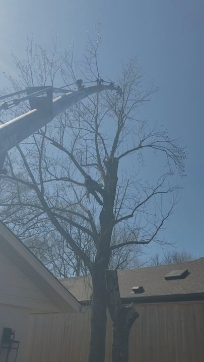 AJ Tree Service - Tree Services Near Me - Broken Arrow, Oklahoma