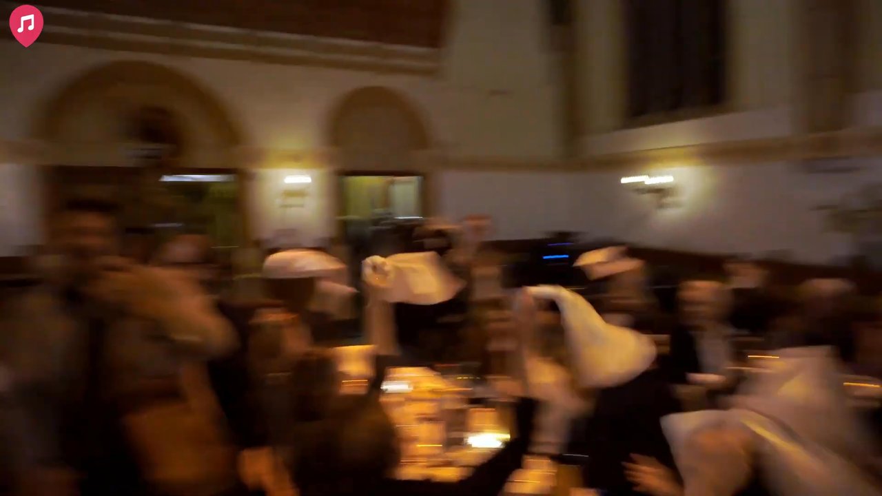 The Italian Gang - Live Showreel 2026 - video