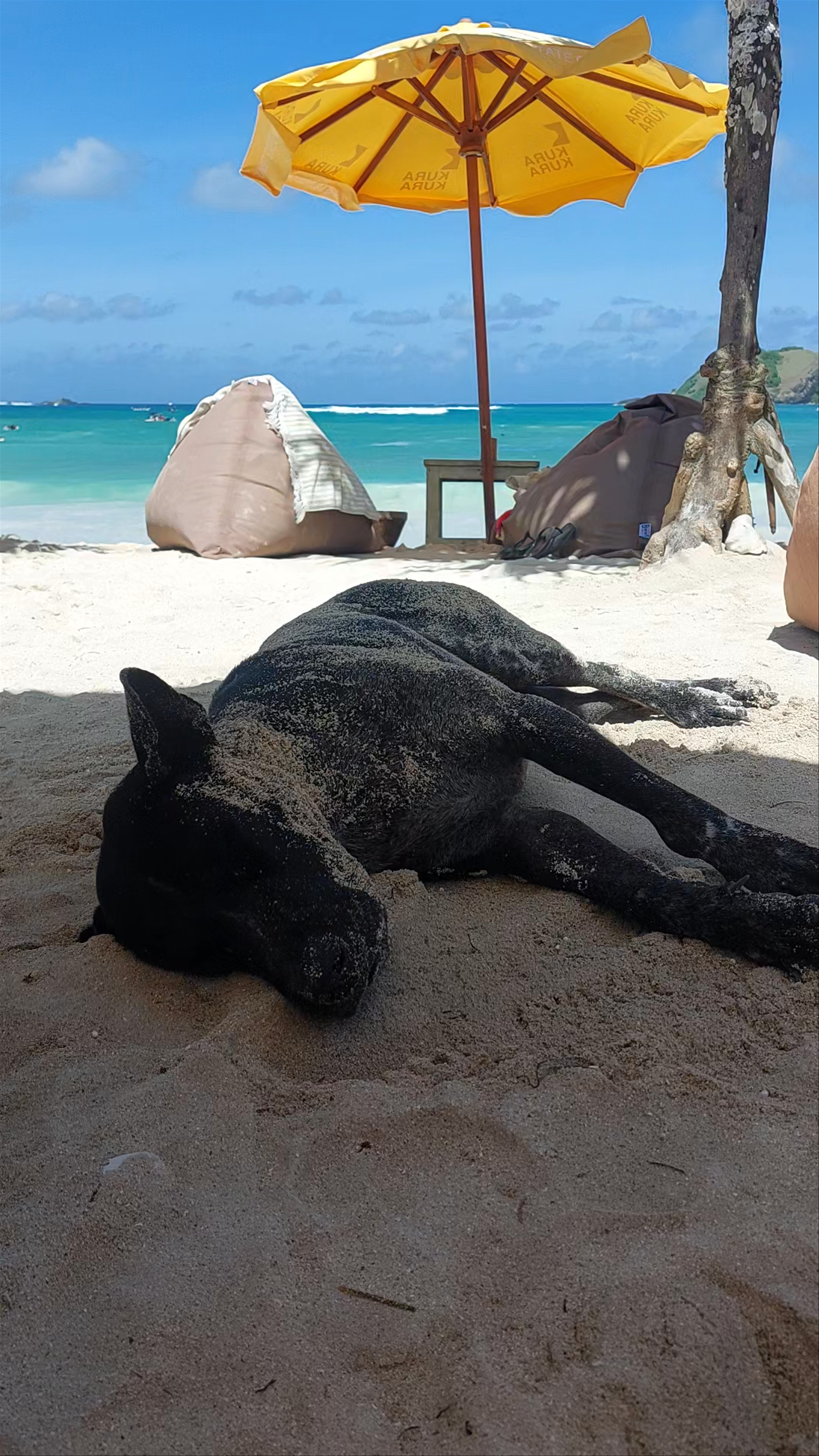 Tanjung Aan Beach: Blissful Tropical Escape in Lombok
