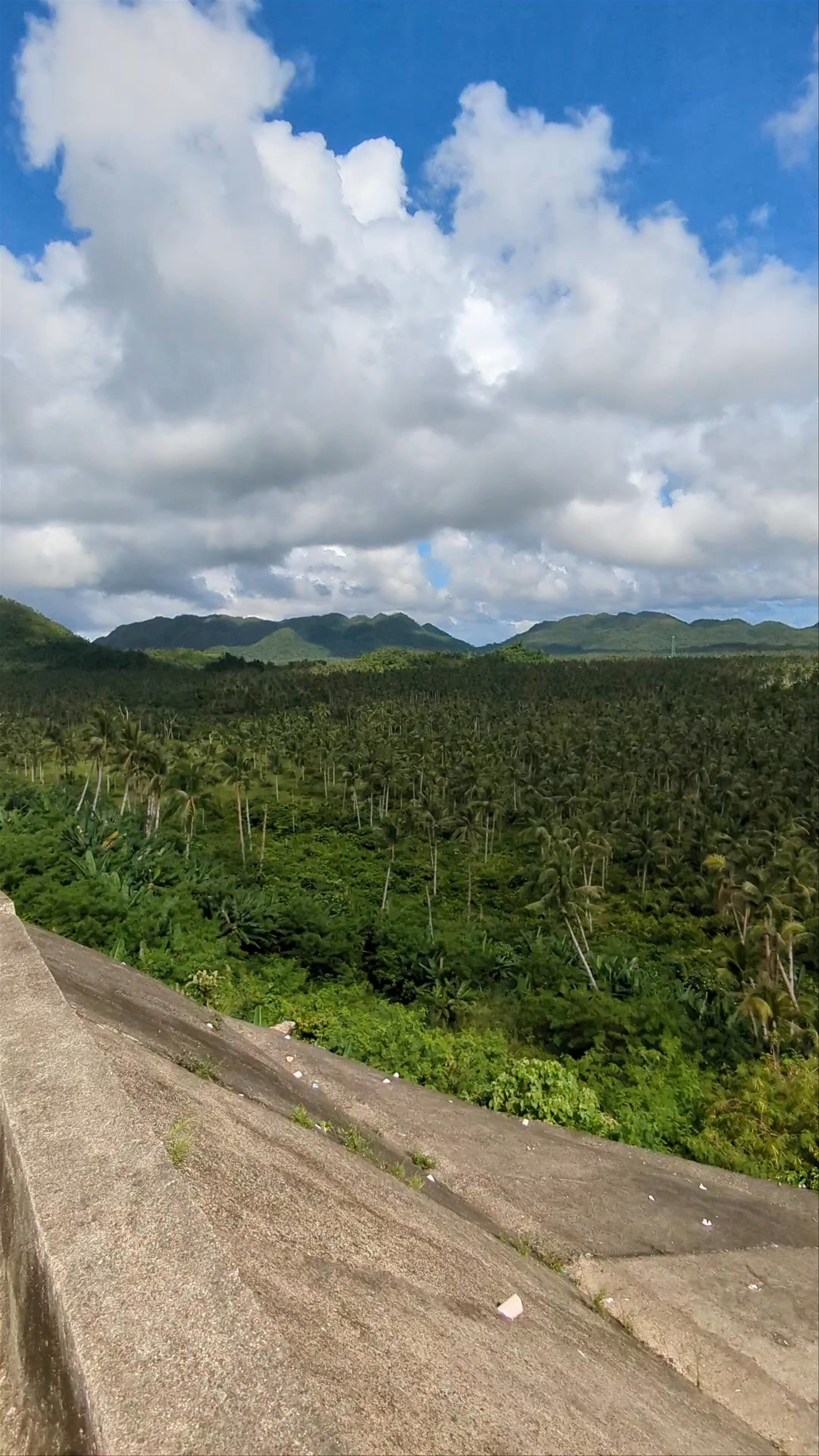 Coconut Trees View Deck