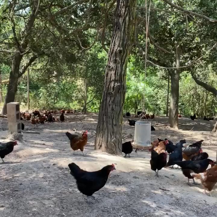 Taramasso Ranch - Ranches Near Me - Napa, California