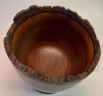 Preview image for video