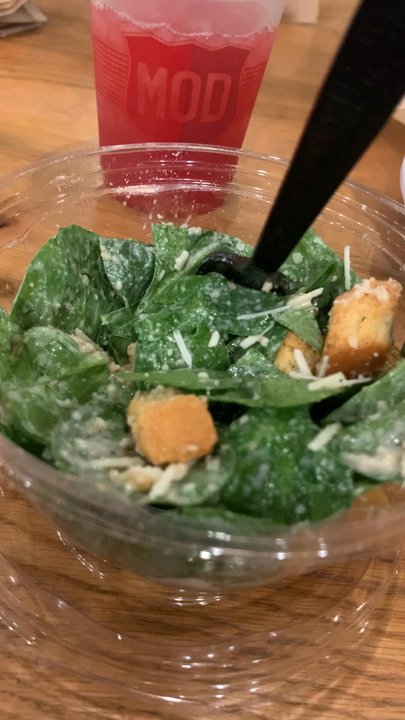 MOD Pizza - Late dinner with my Bailey bear - Fast Food Near Me - Houston, Texas