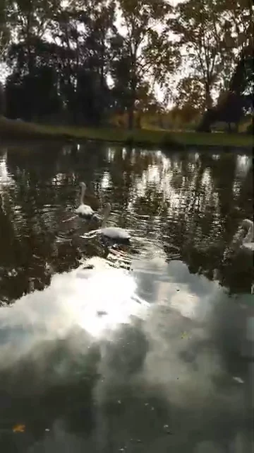 Paris Zoological Park